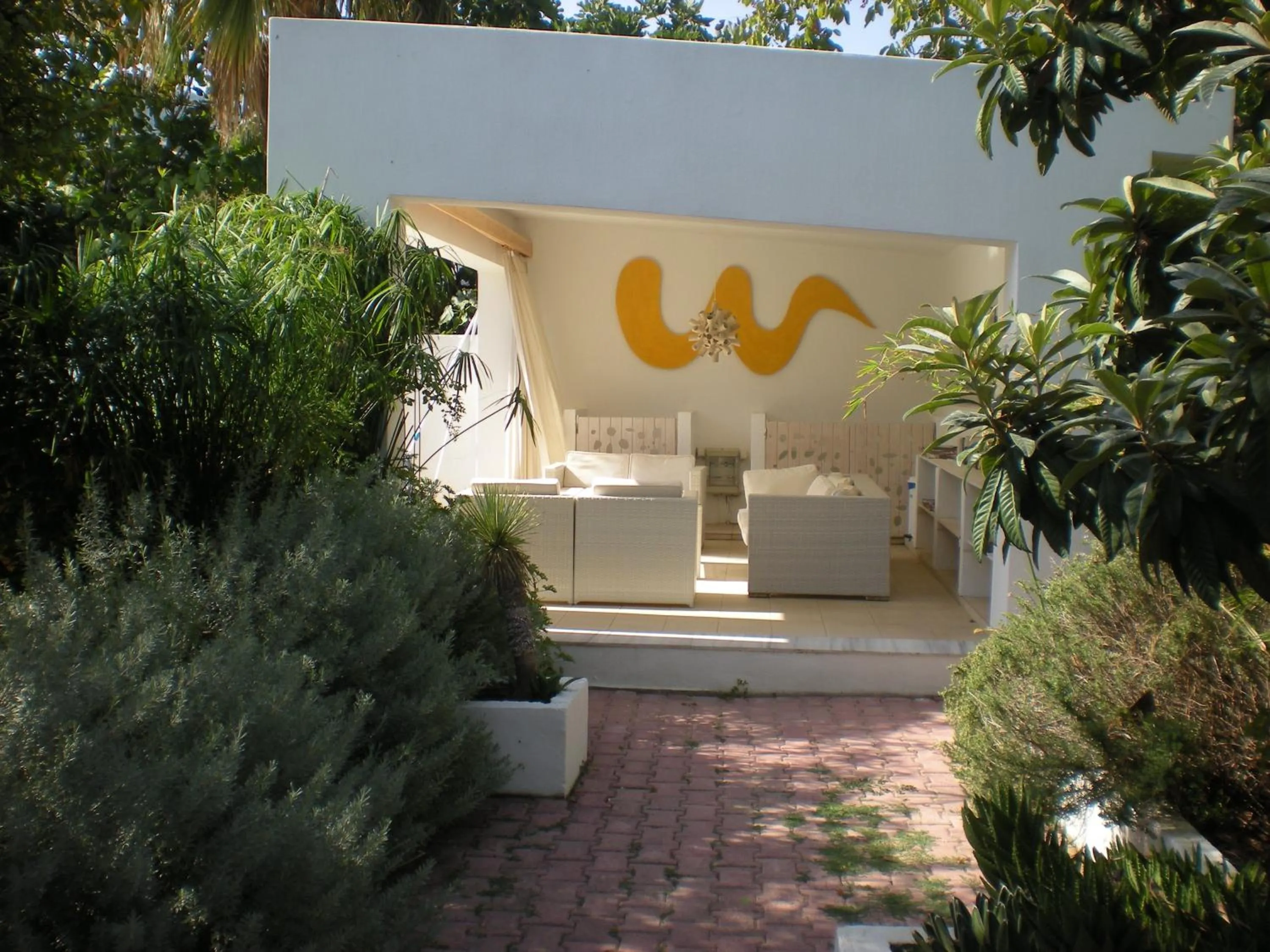 Garden in Manolis' House