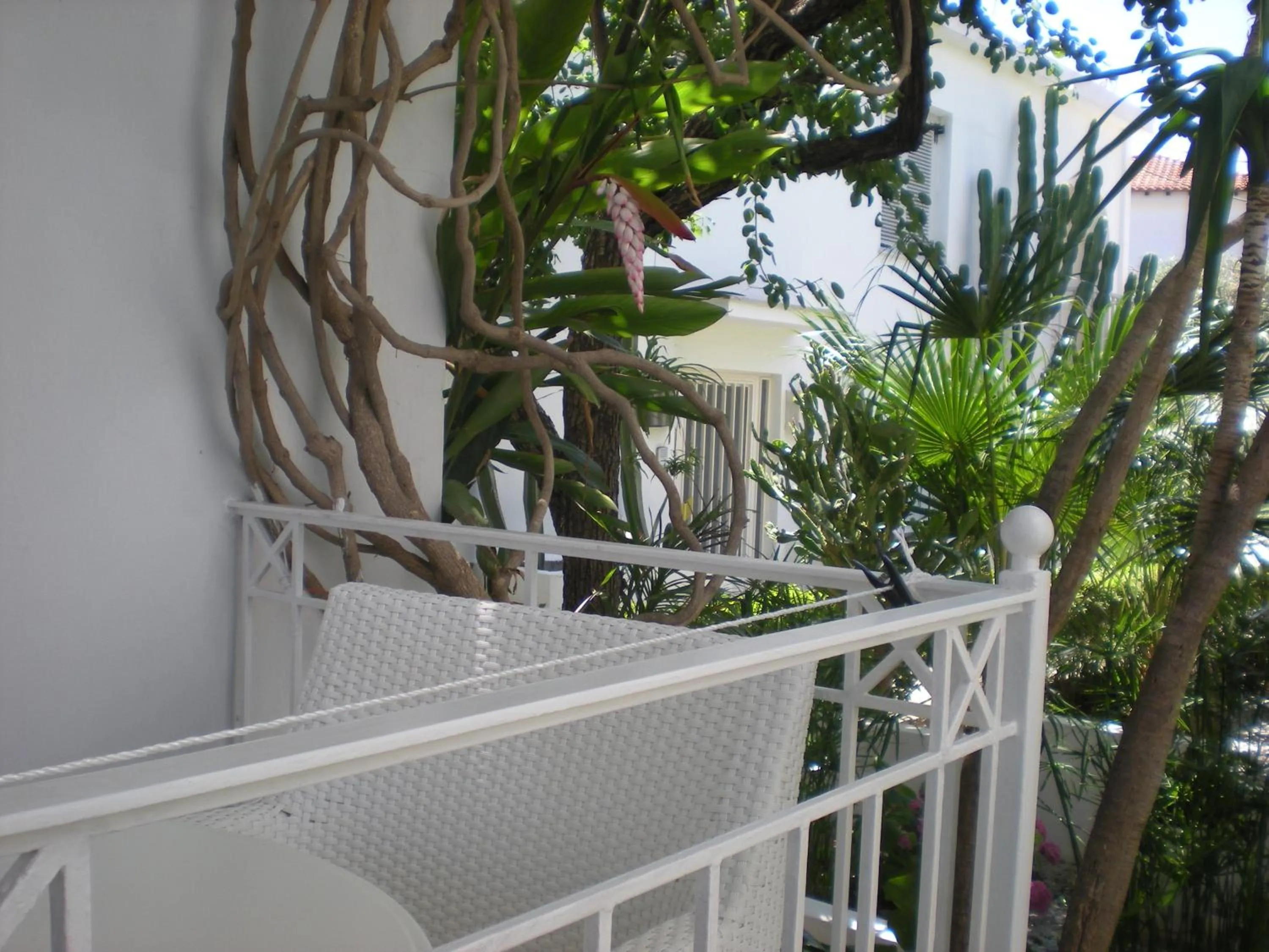Balcony/Terrace in Manolis' House