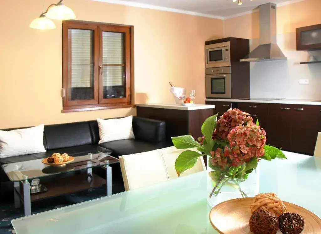 One-Bedroom Apartment - single occupancy in Sportpenzion Pohoda One-Bedroom Apartment - single occupancy in Sportpenzion Pohoda