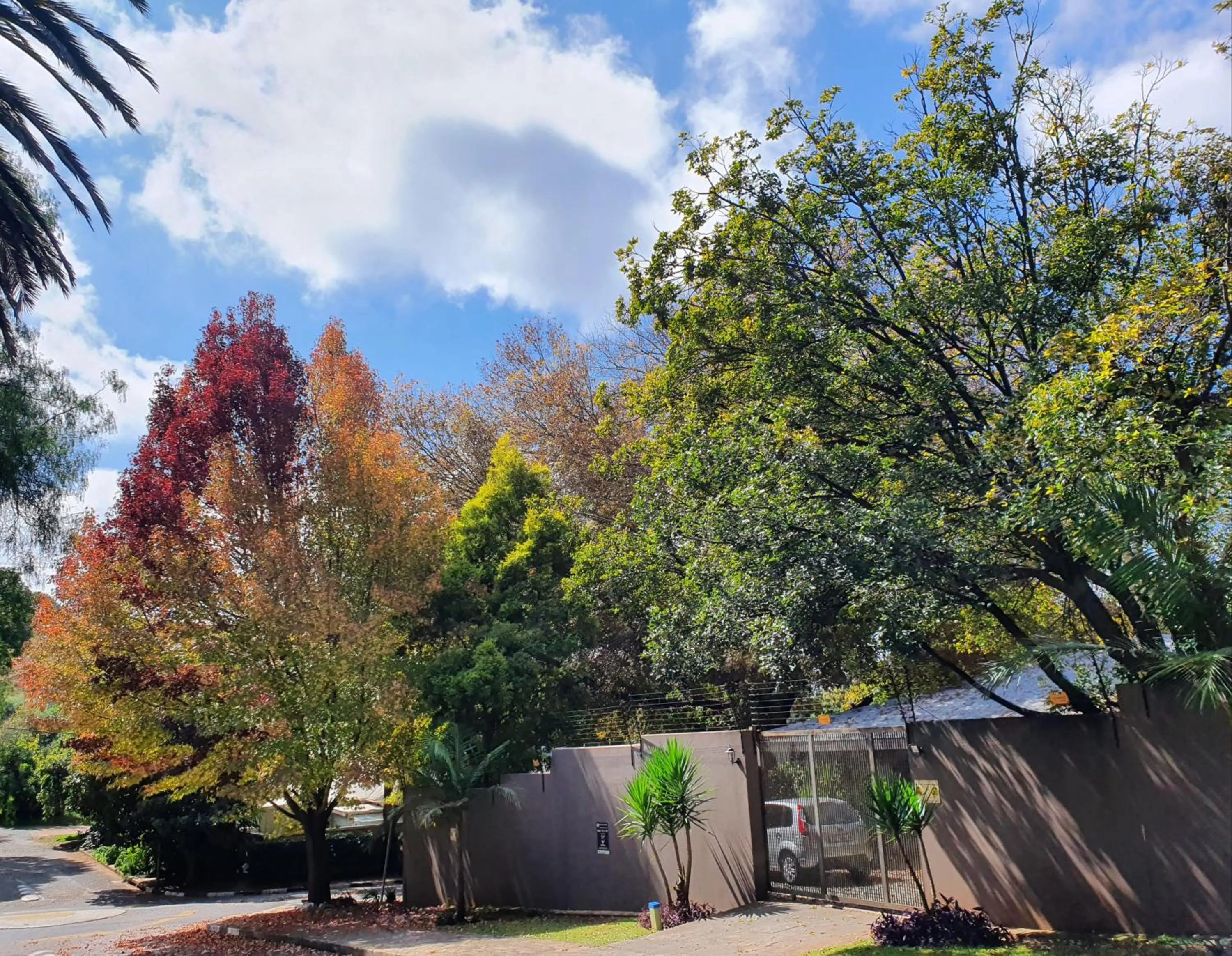 Neighbourhood in 7th Street Guesthouse