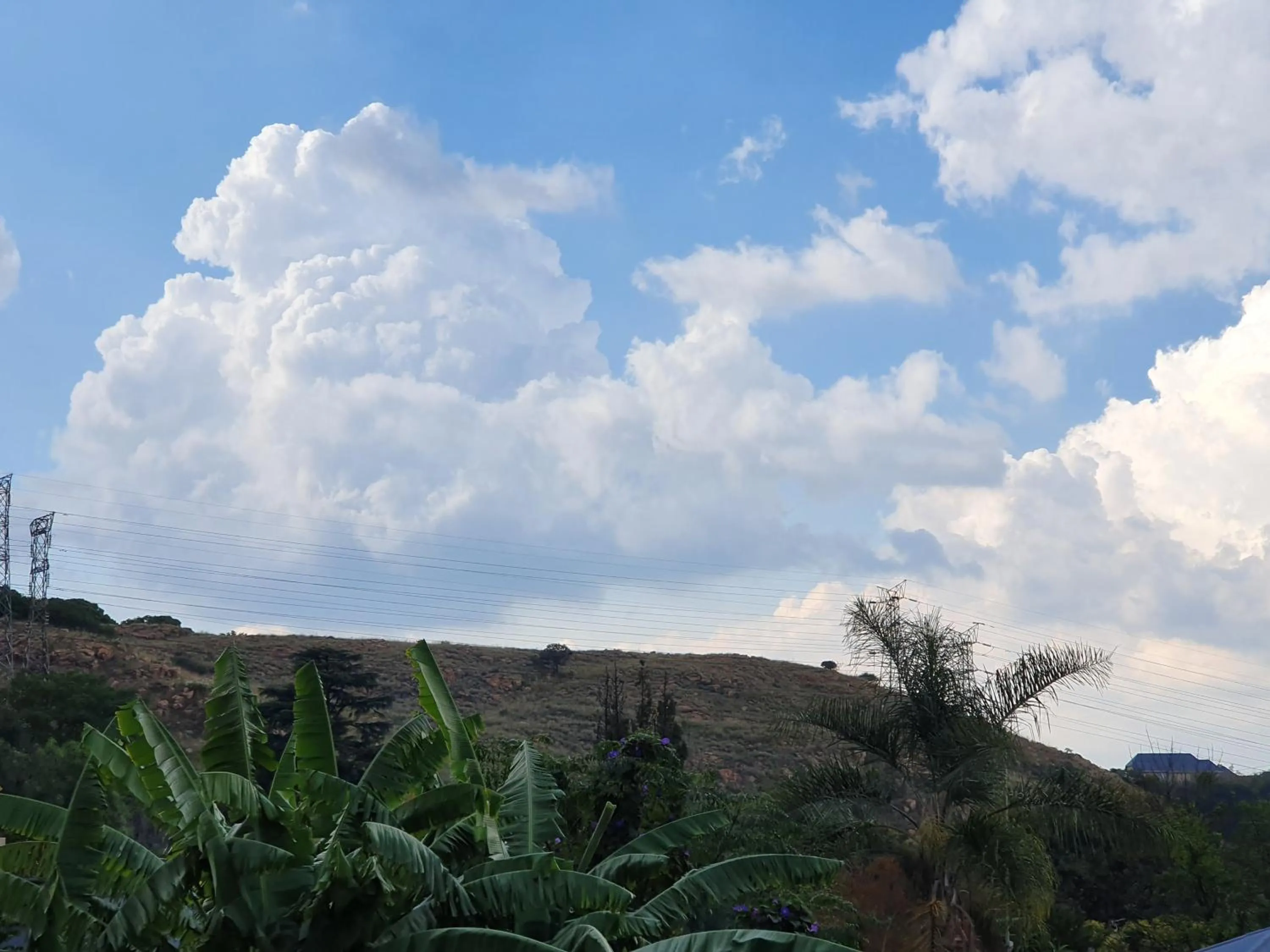 Natural landscape in 7th Street Guesthouse