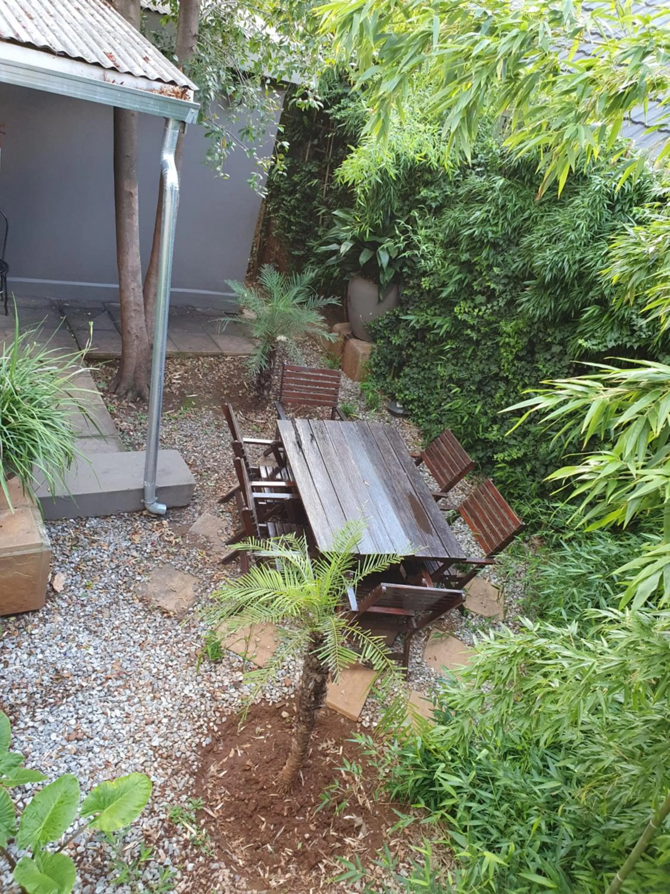 Patio in 7th Street Guesthouse