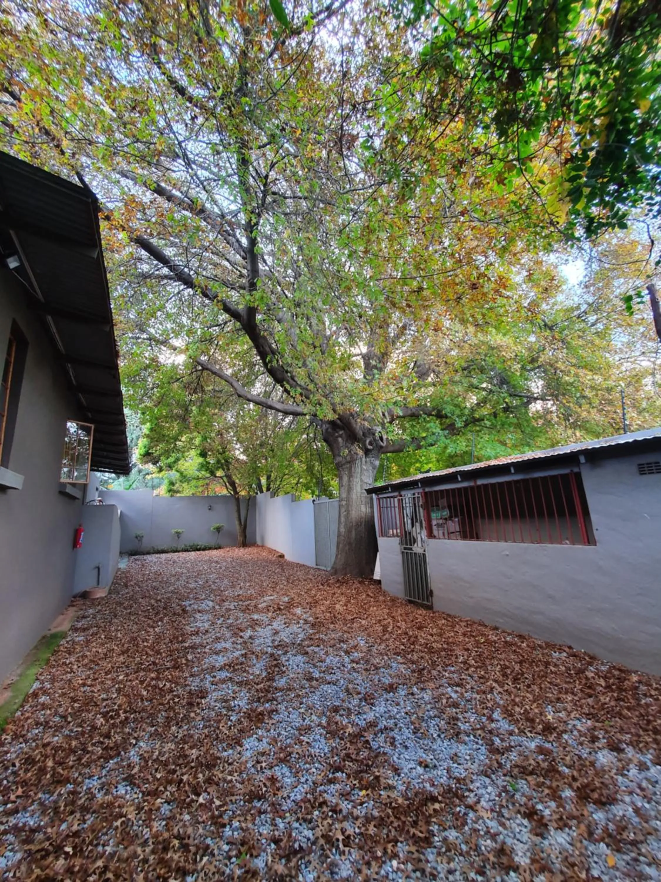 Property building in 7th Street Guesthouse