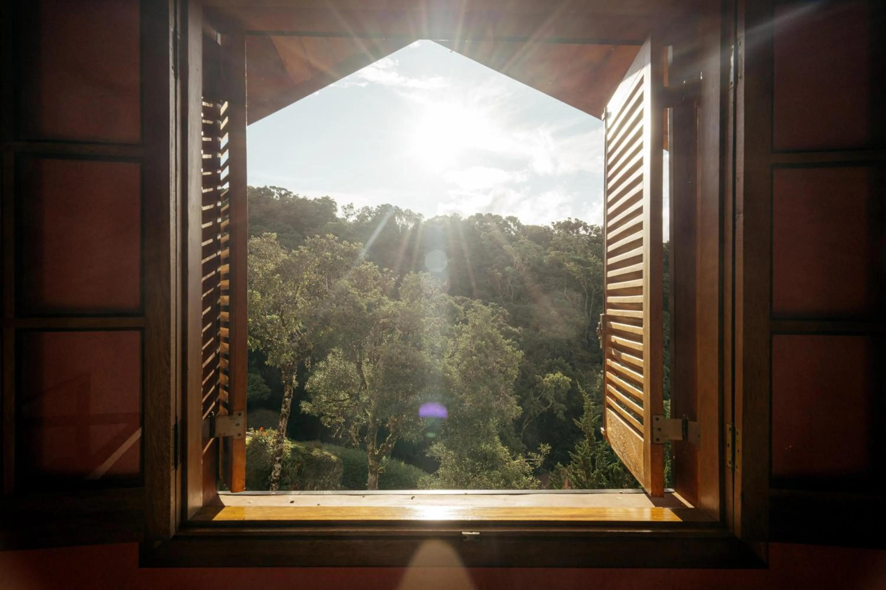 Garden view in Pousada Ahavanoah