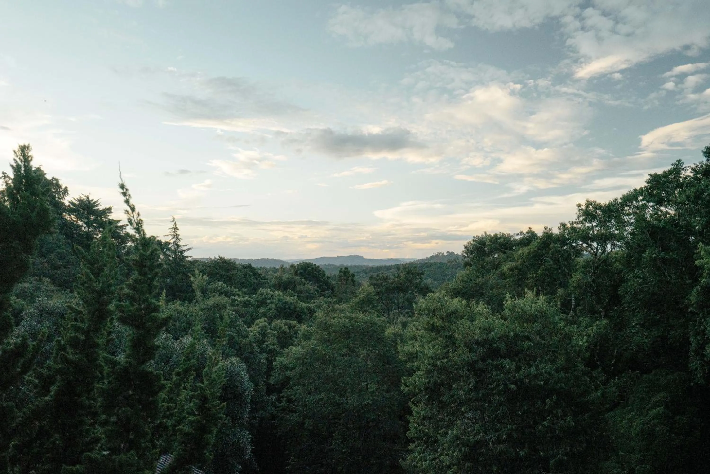 View (from property/room) in Pousada Ahavanoah
