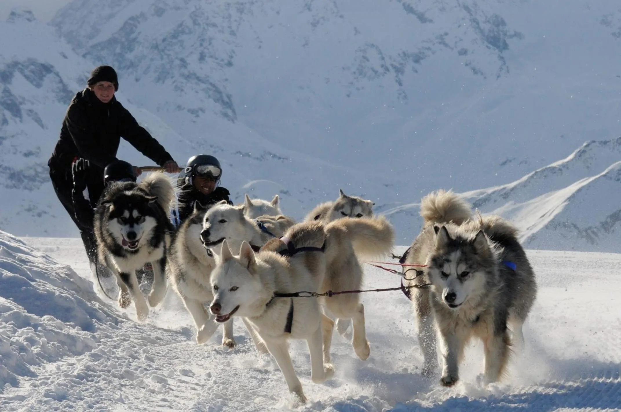 Activities in Whitepod Original