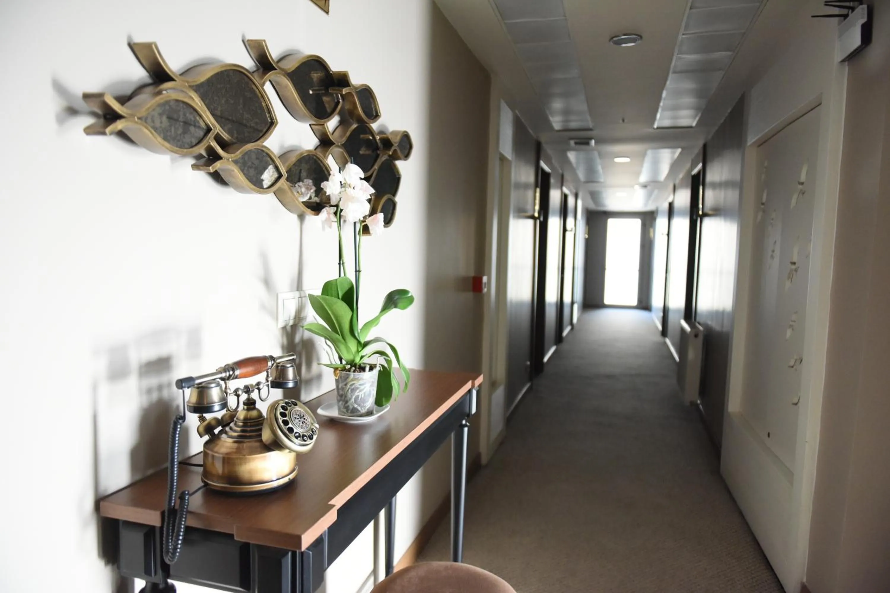 Area and facilities in Baliktasi City Hotel & Spa