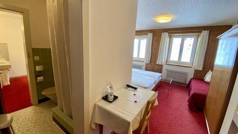 Photo of the whole room, Bed in Hotel Alpina Parpan