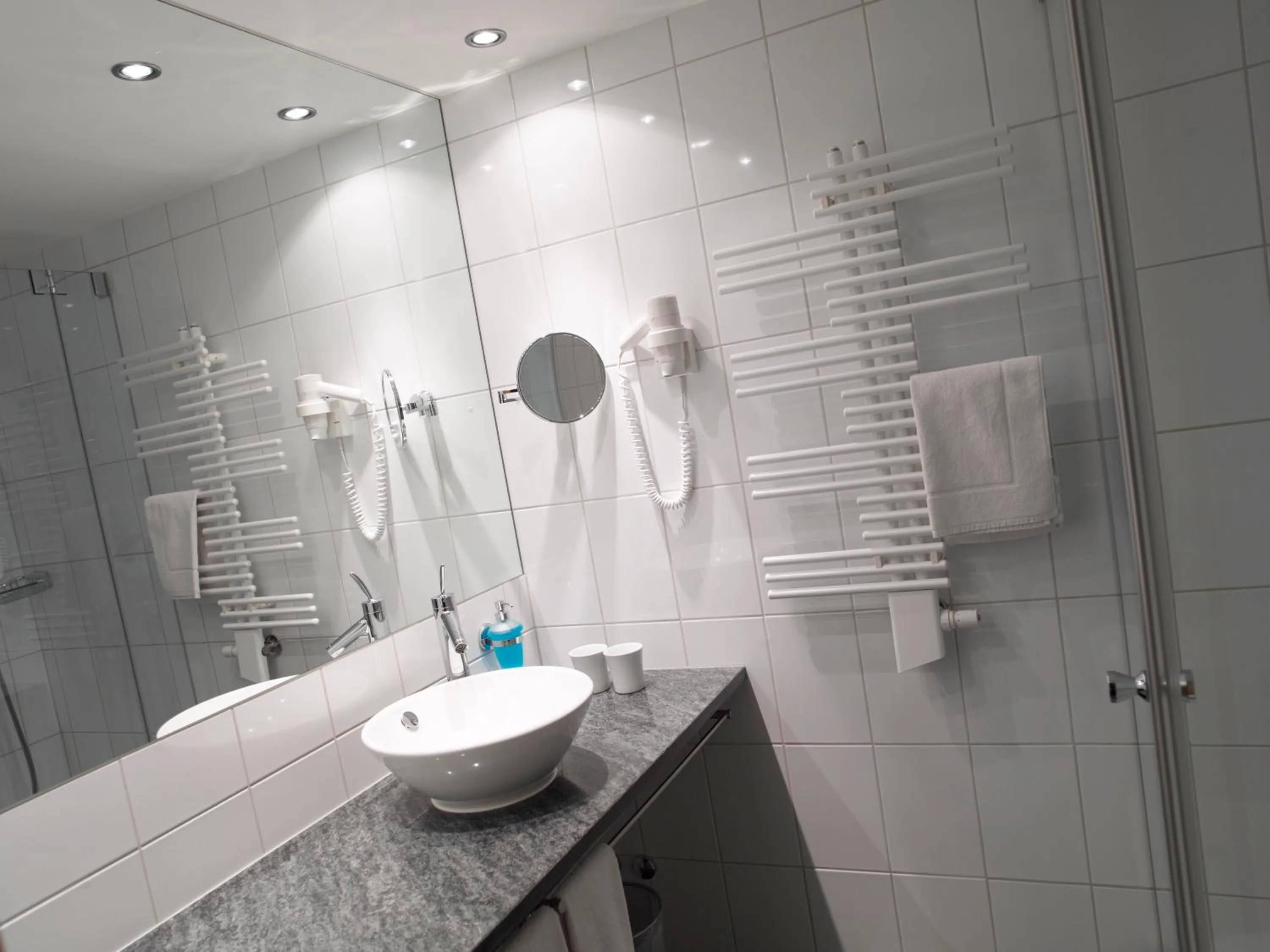 Bathroom in Hotel Alpina Parpan