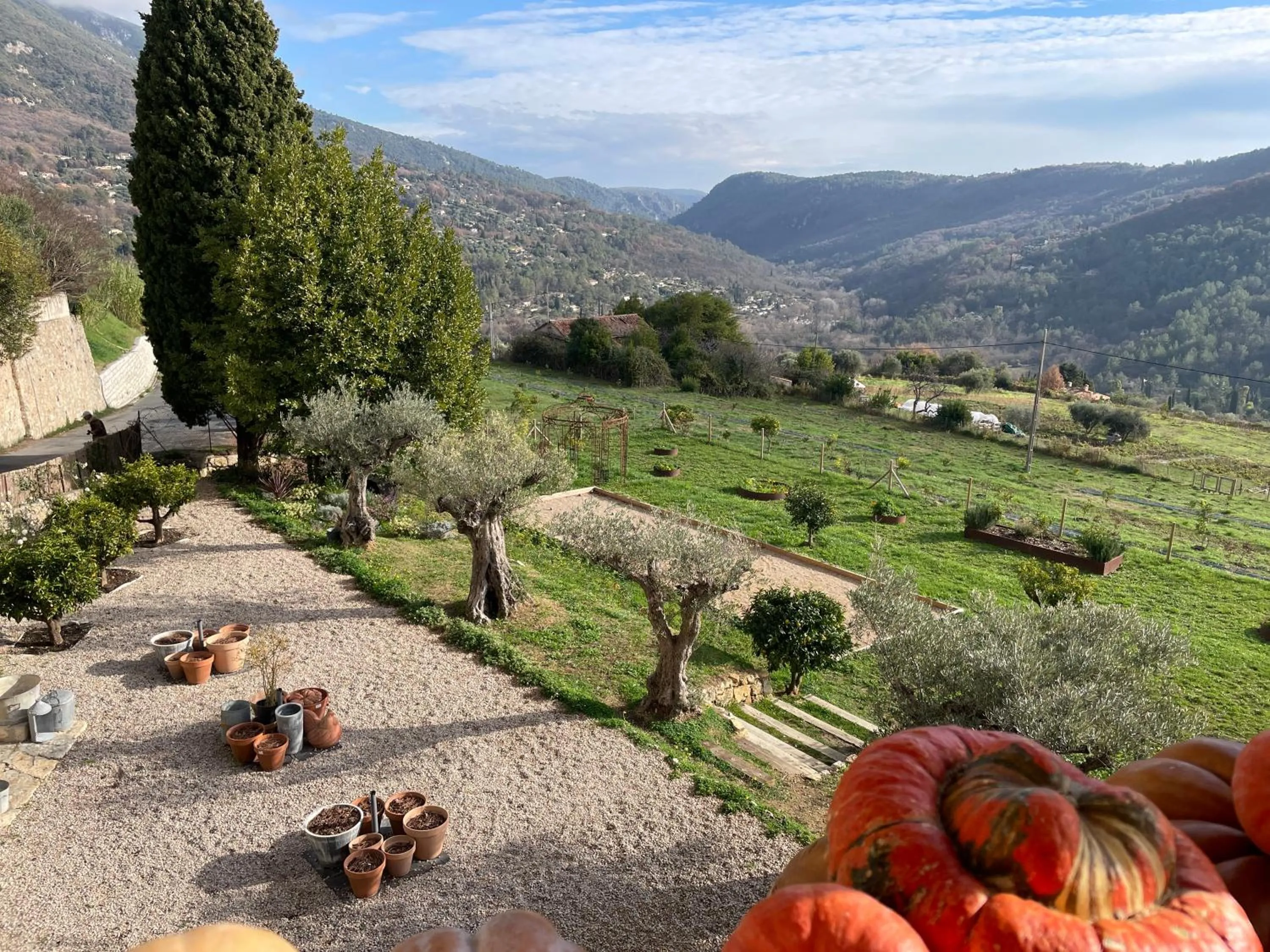 Natural landscape in Hôtel particulier des Jasmins