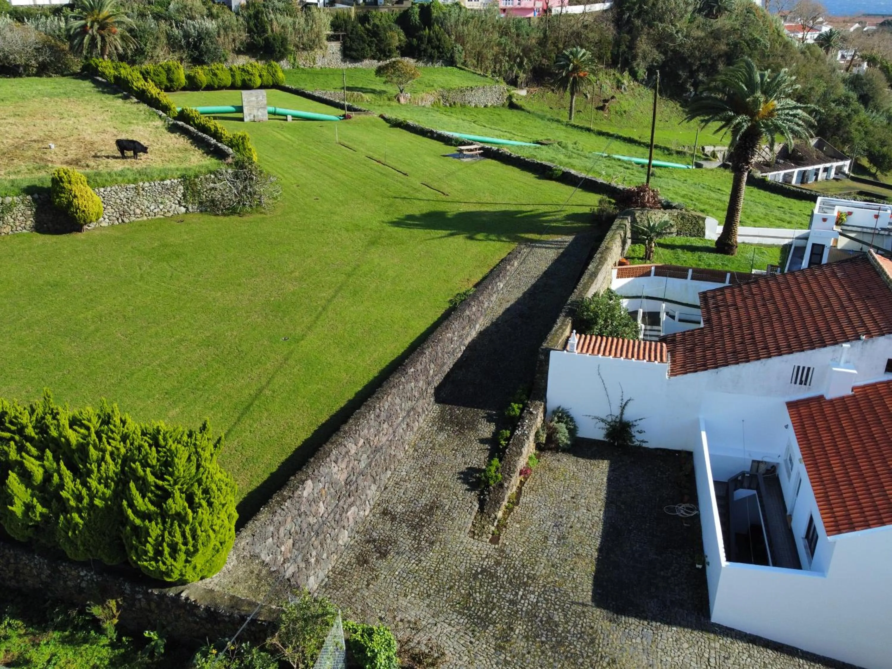 Garden view in Casa do Becco