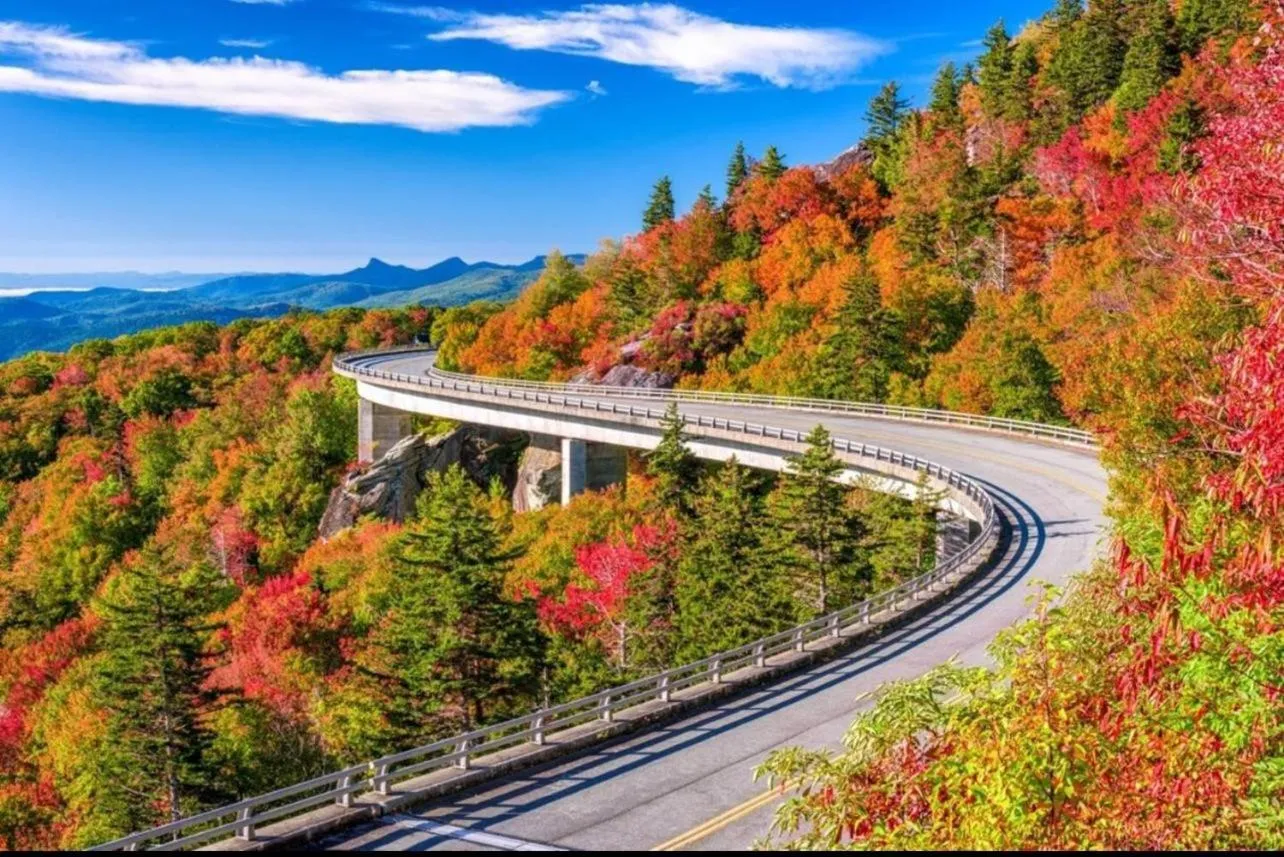 Natural landscape in Emerald Woods