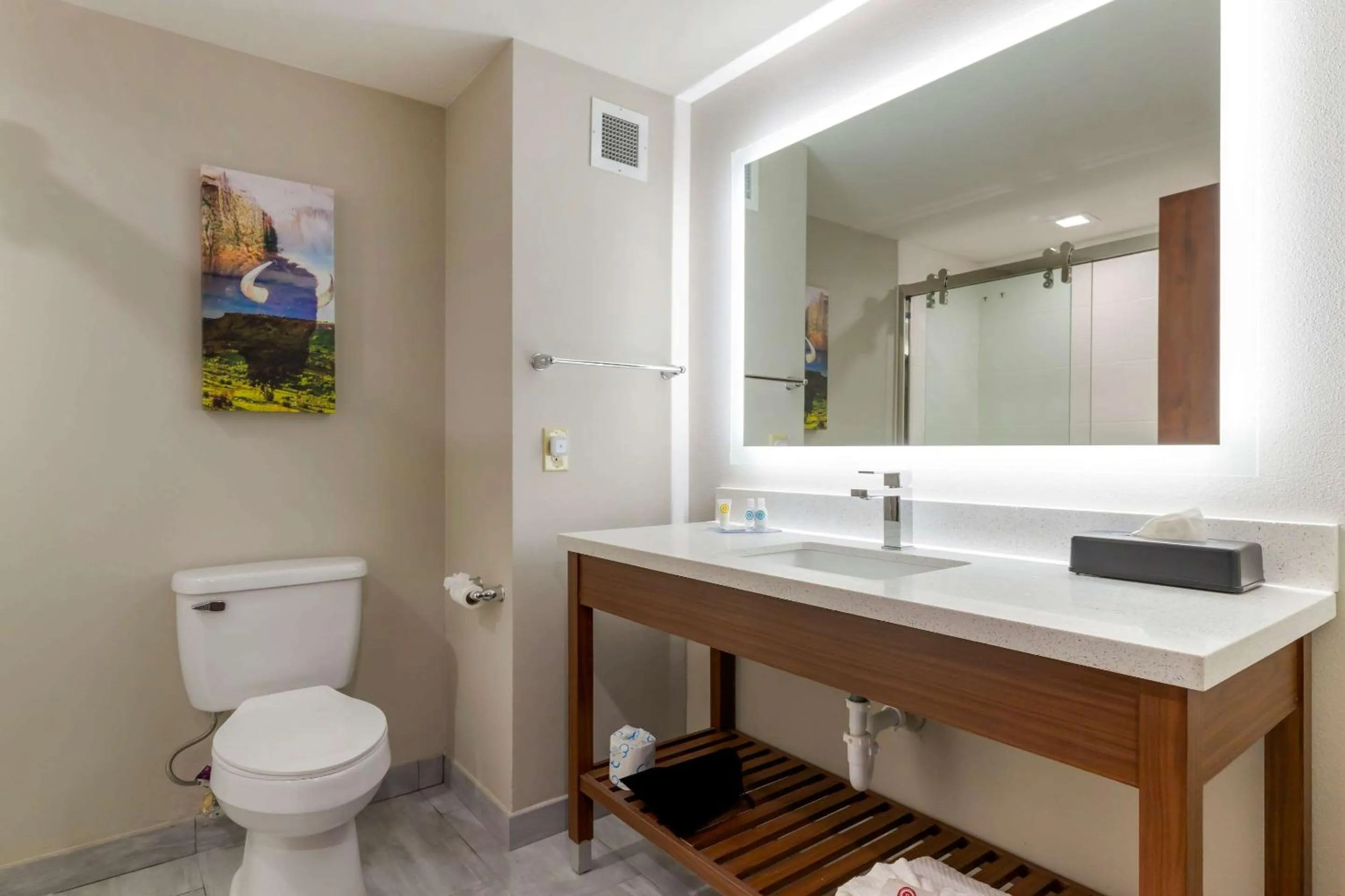 Bathroom in Comfort Inn & Suites