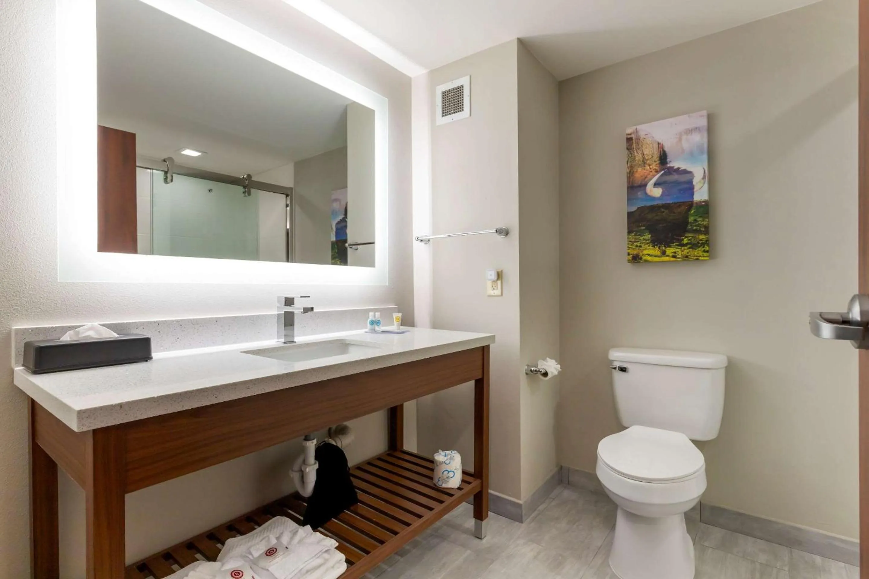 Bathroom in Comfort Inn & Suites