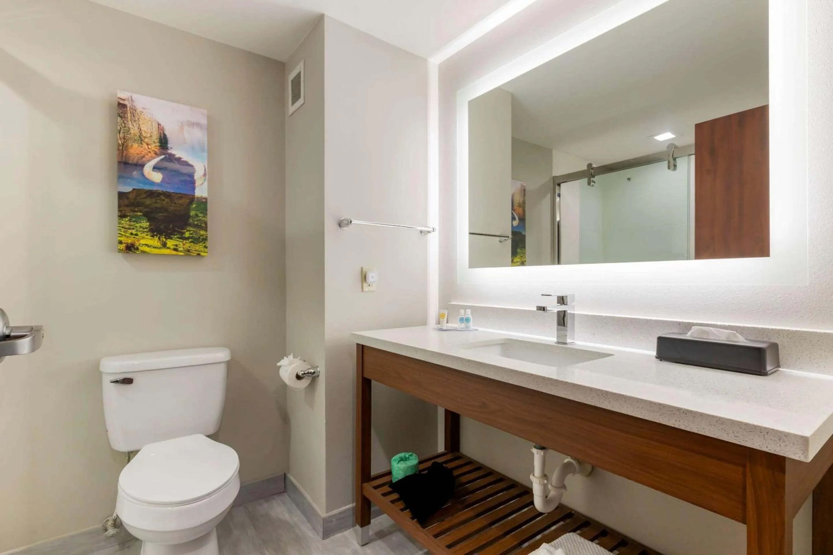 Bathroom in Comfort Inn & Suites