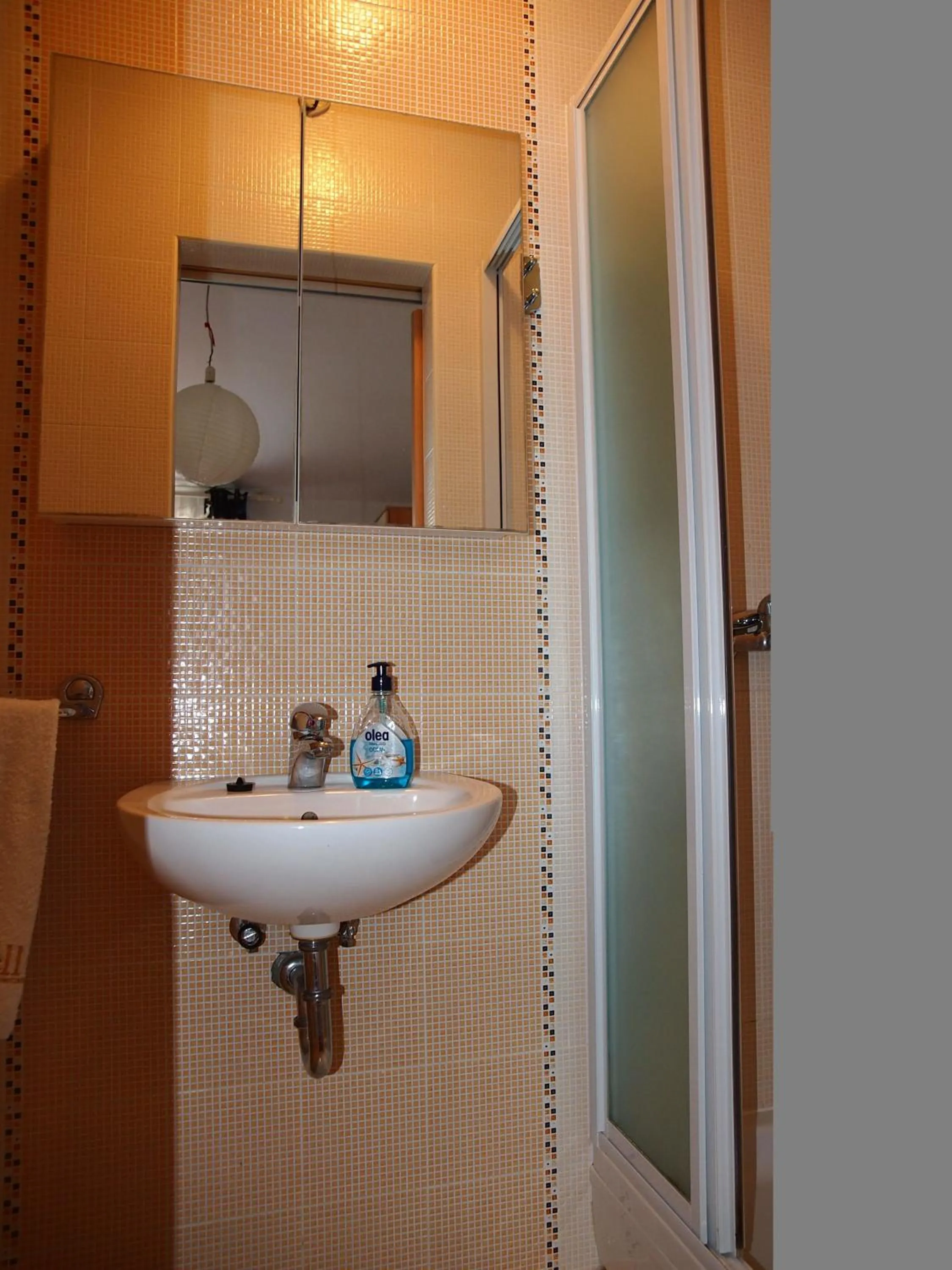 Toilet in Apartmani Jela