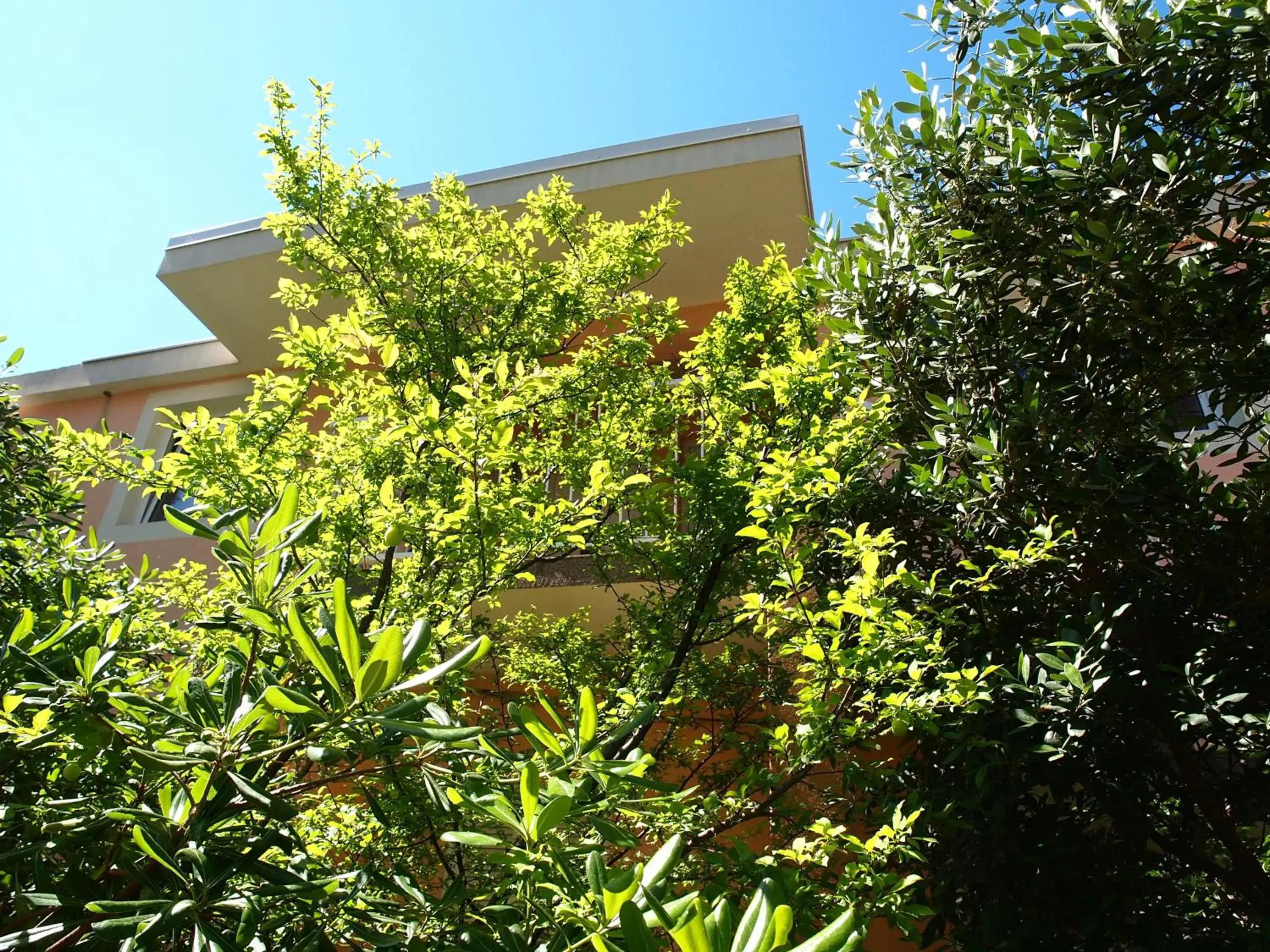 Property building in Apartmani Jela Property building in Apartmani Jela