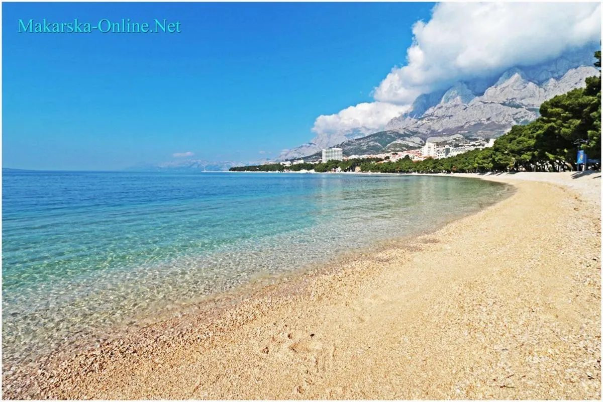 Natural landscape in Apartmani Jela