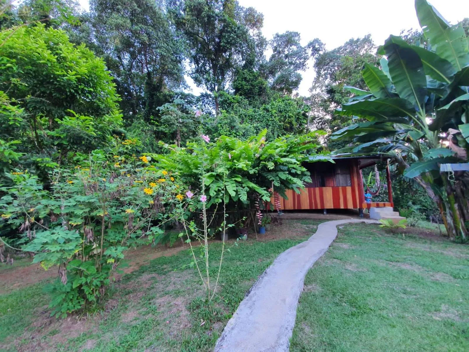 View (from property/room) in The Sunset Tucano Lodge