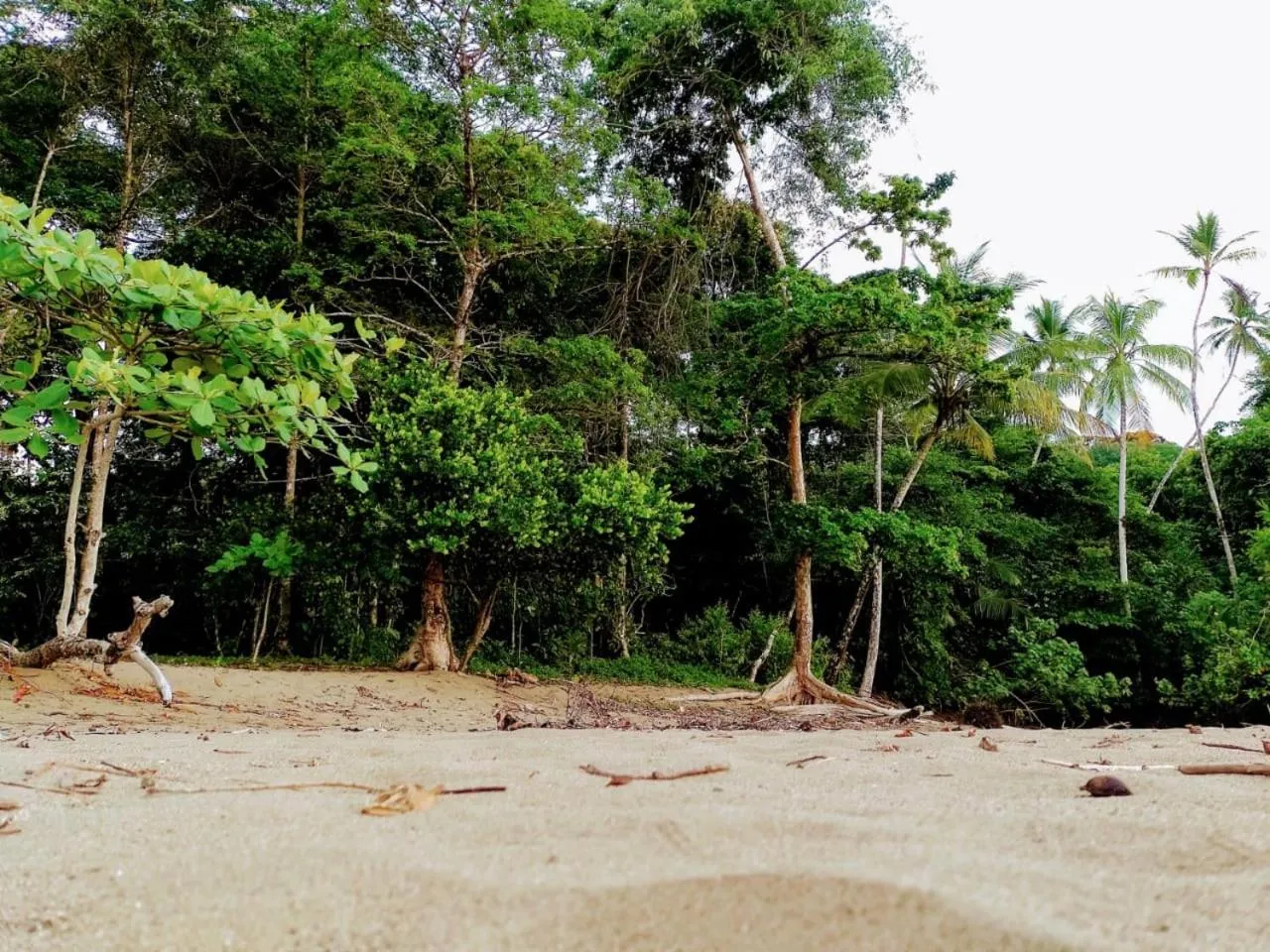 Landmark view in The Sunset Tucano Lodge