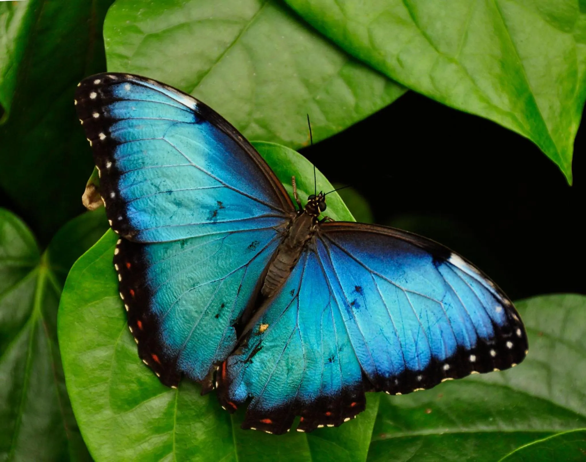 Fishing in The Sunset Tucano Lodge