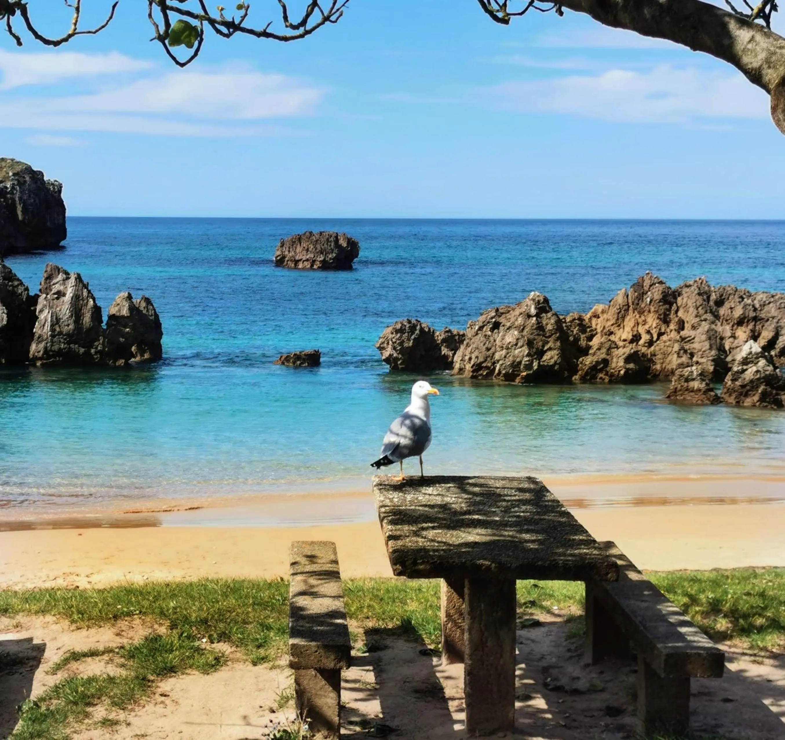 Nearby landmark in Hotel Rural El Texeu