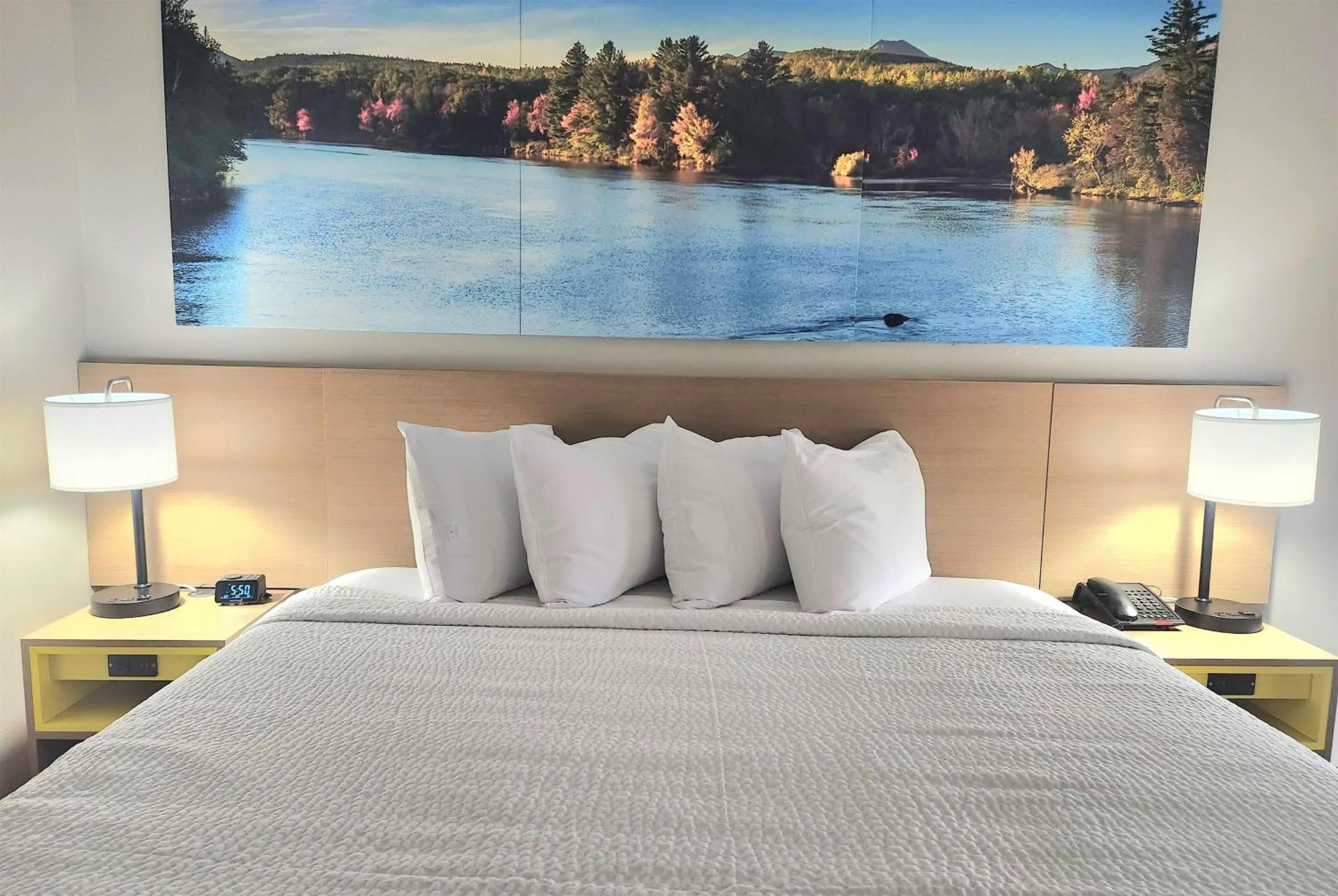 Photo of the whole room in EconomyLodge