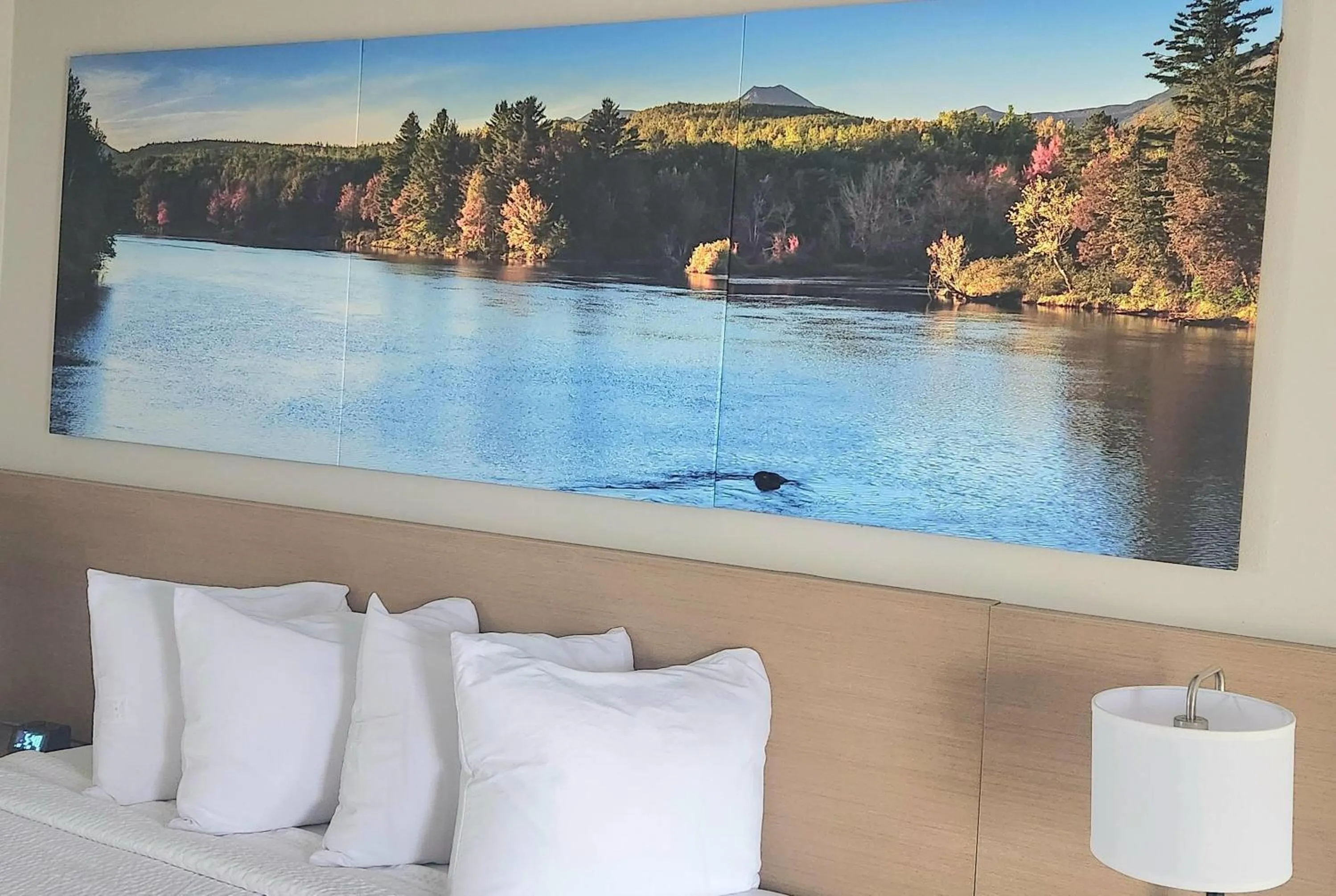 Photo of the whole room in EconomyLodge