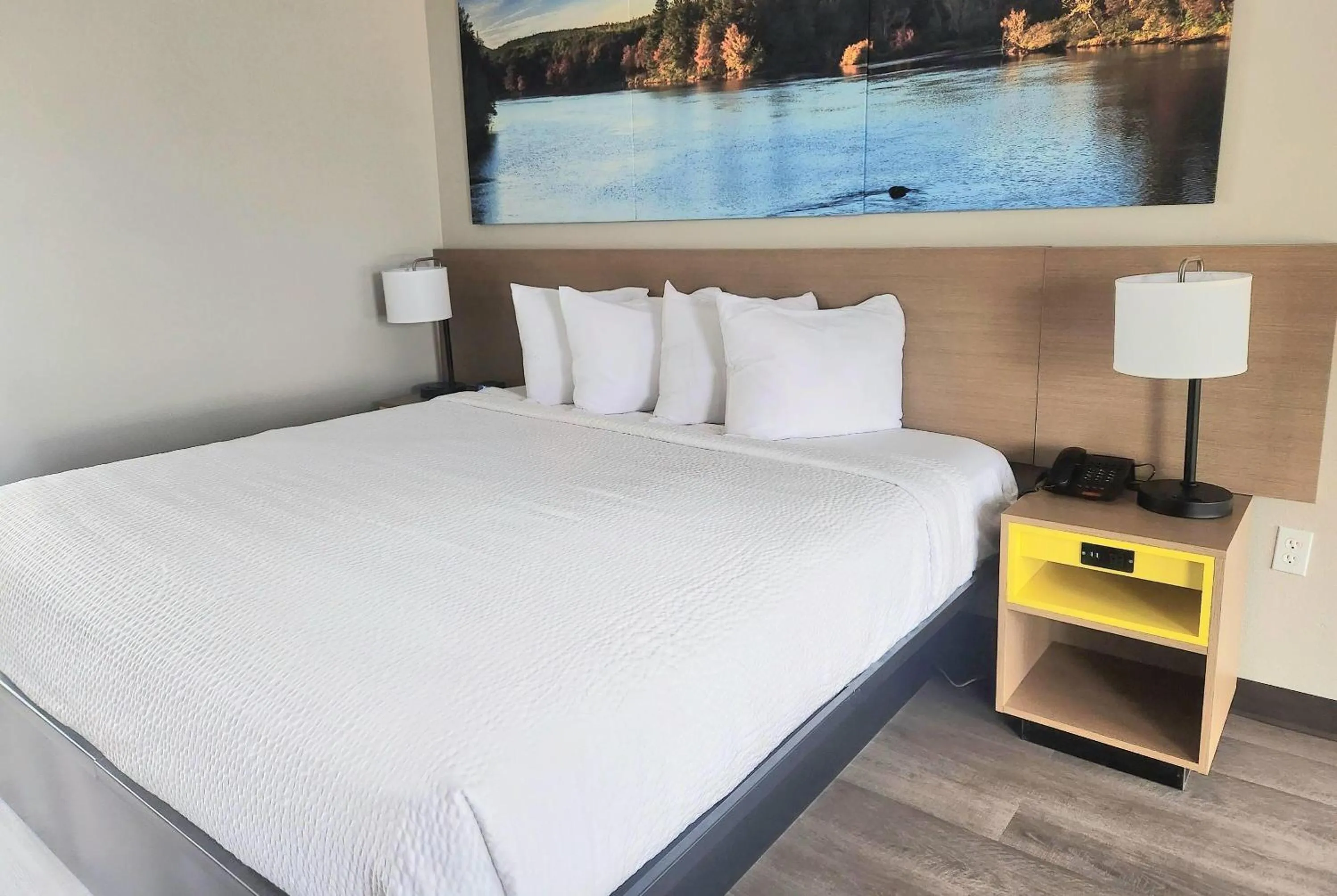 Photo of the whole room in EconomyLodge