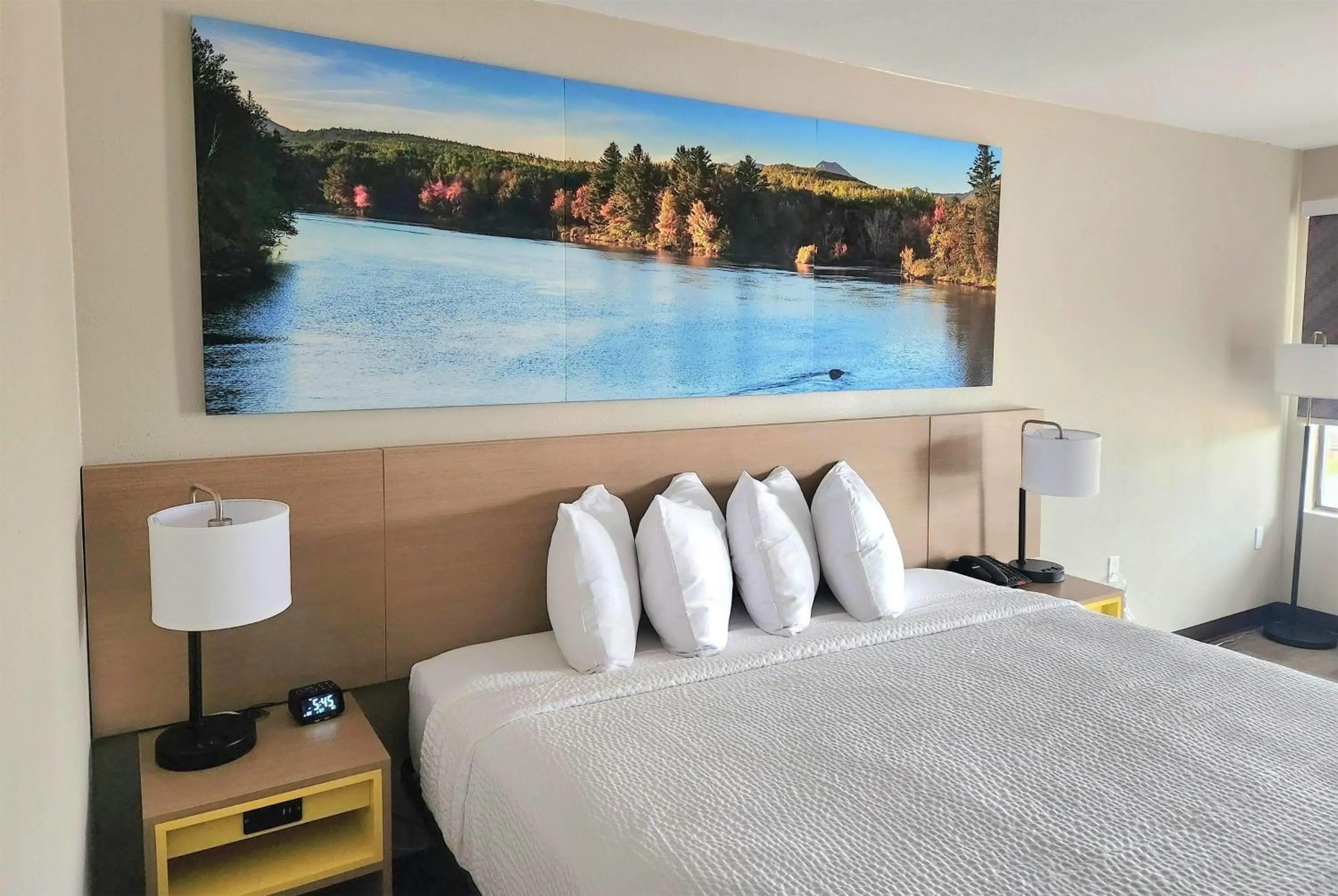 Photo of the whole room in EconomyLodge