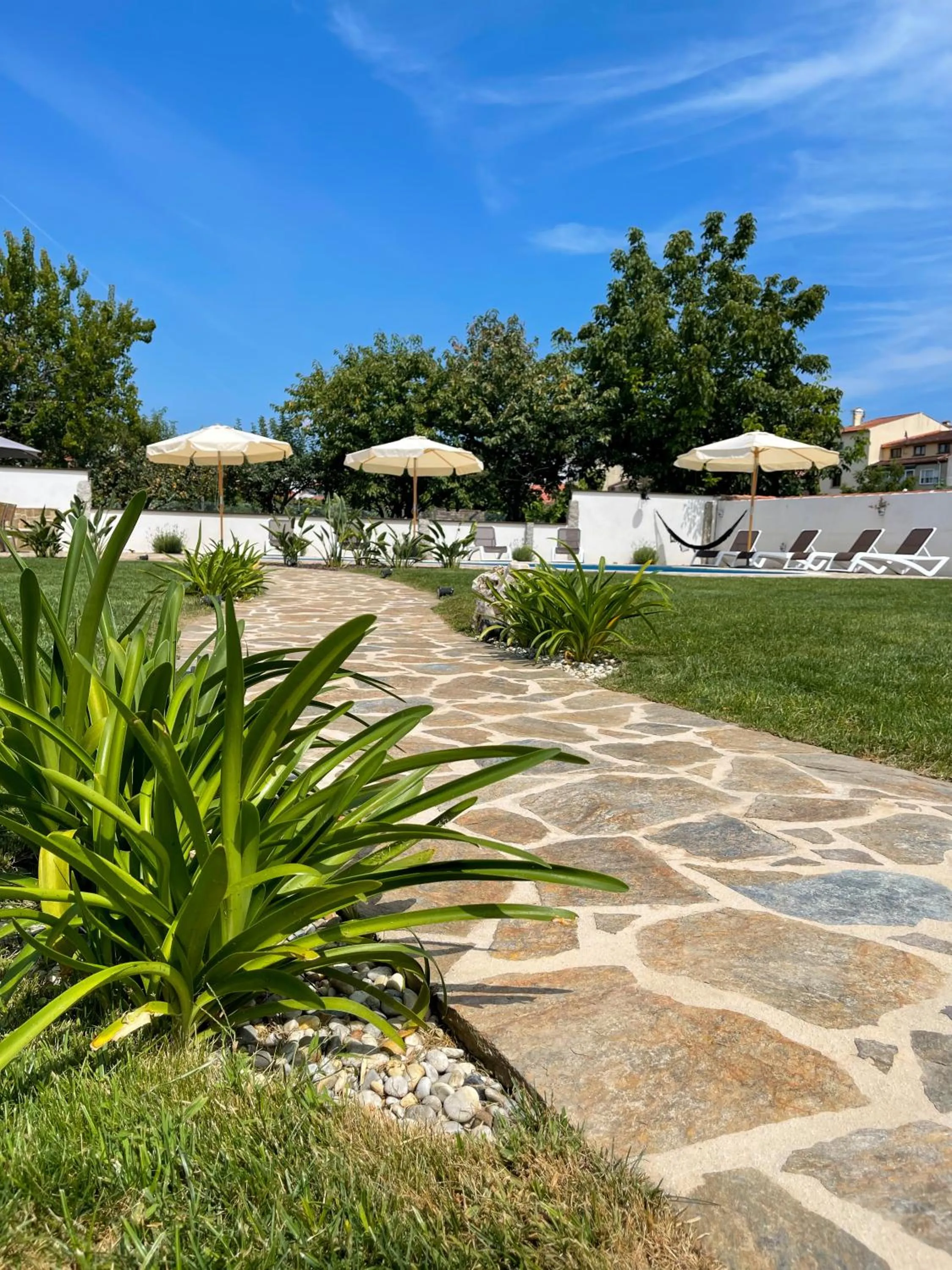 Garden in Villa Galicia