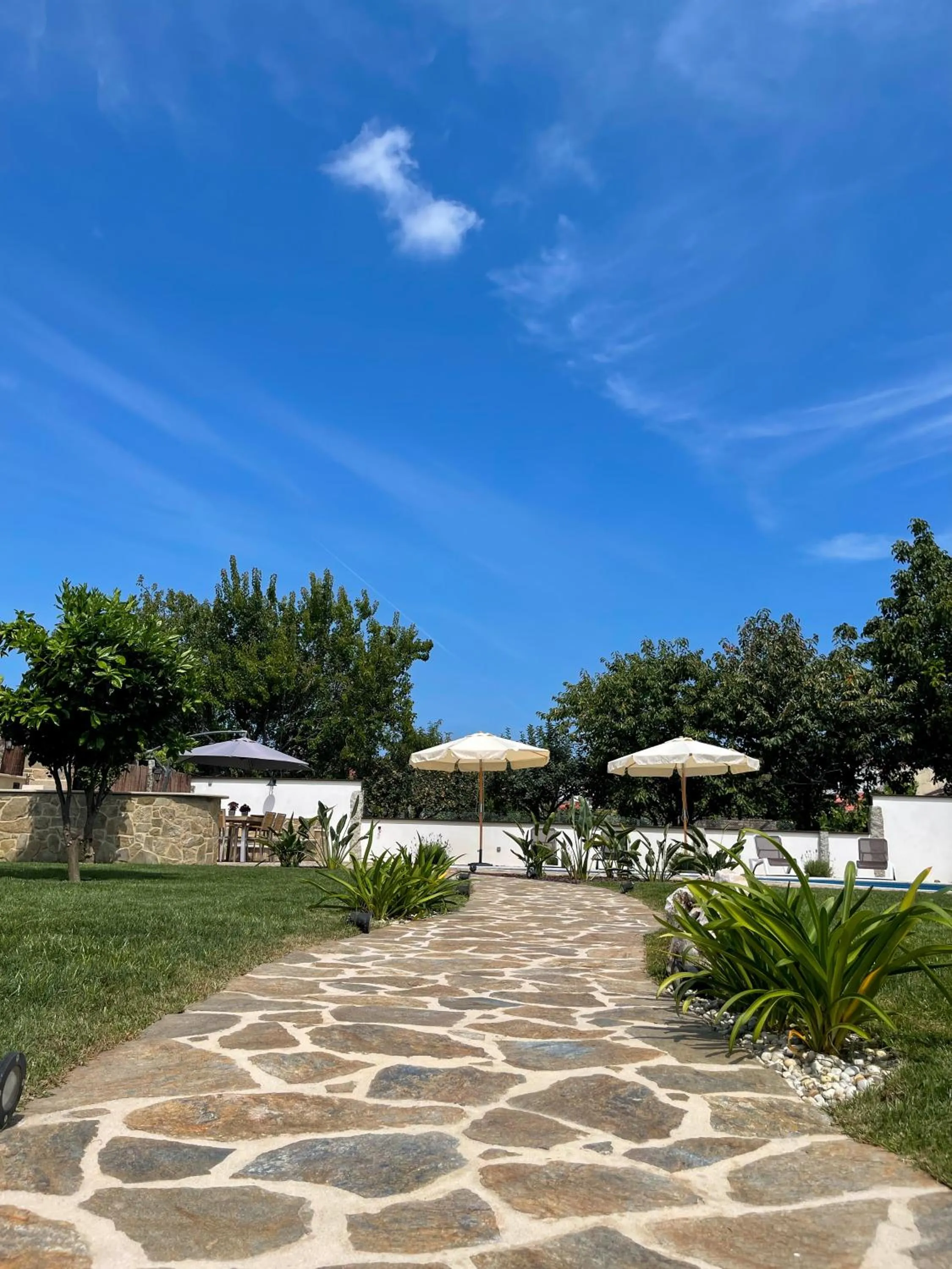 Garden in Villa Galicia