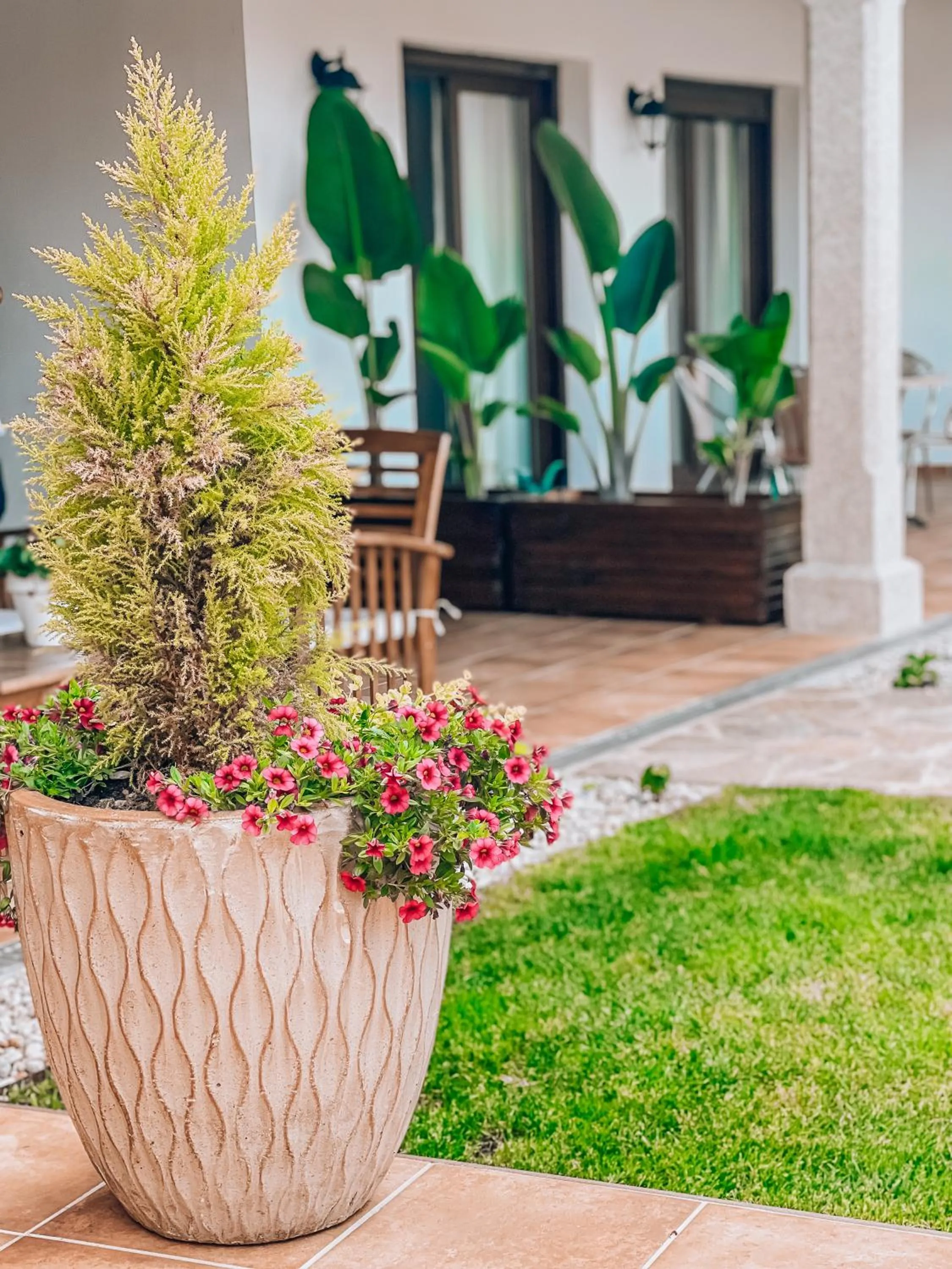 Garden in Villa Galicia