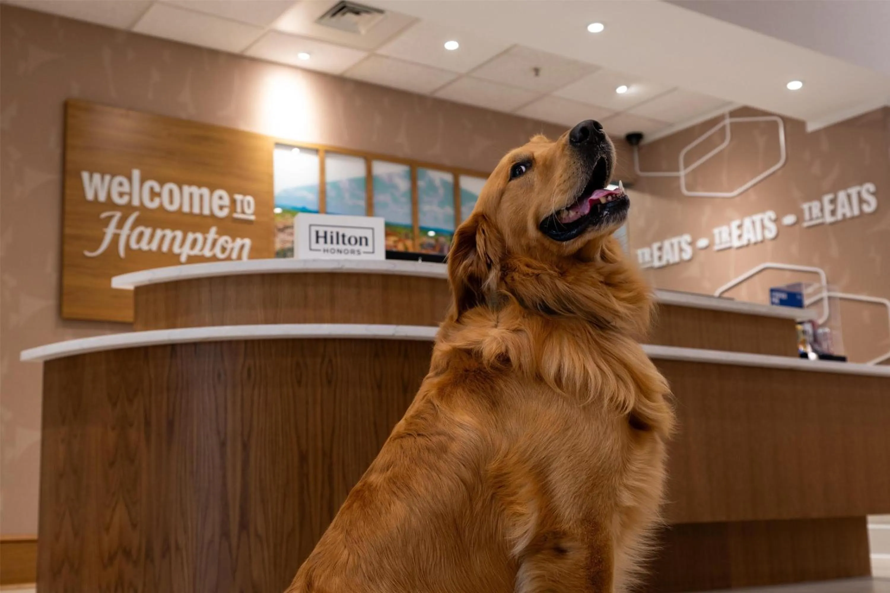 Lobby or reception in Hampton Inn & Suites Knoxville-Turkey Creek Farragut