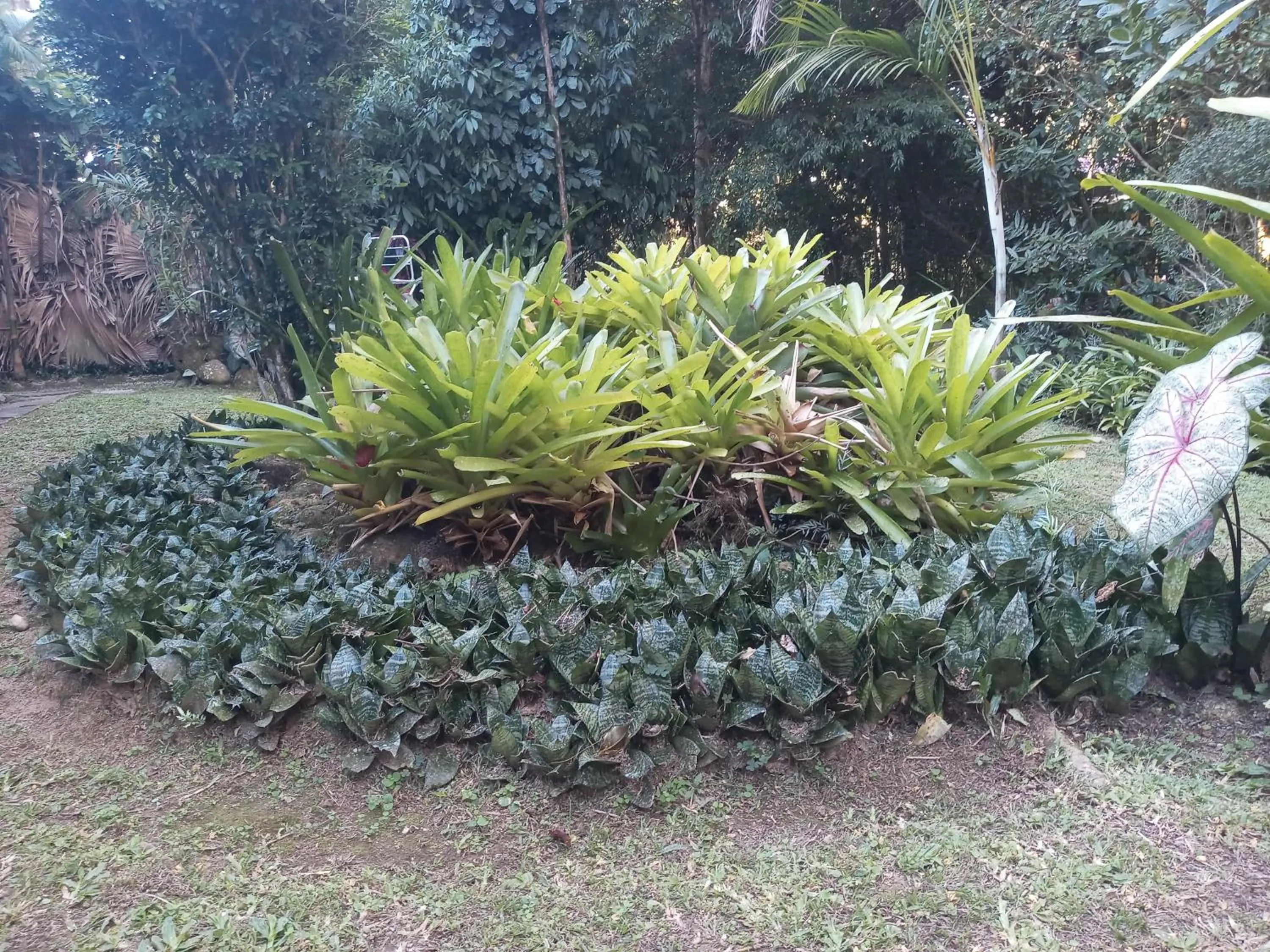 Garden in Pousada Cachoeira