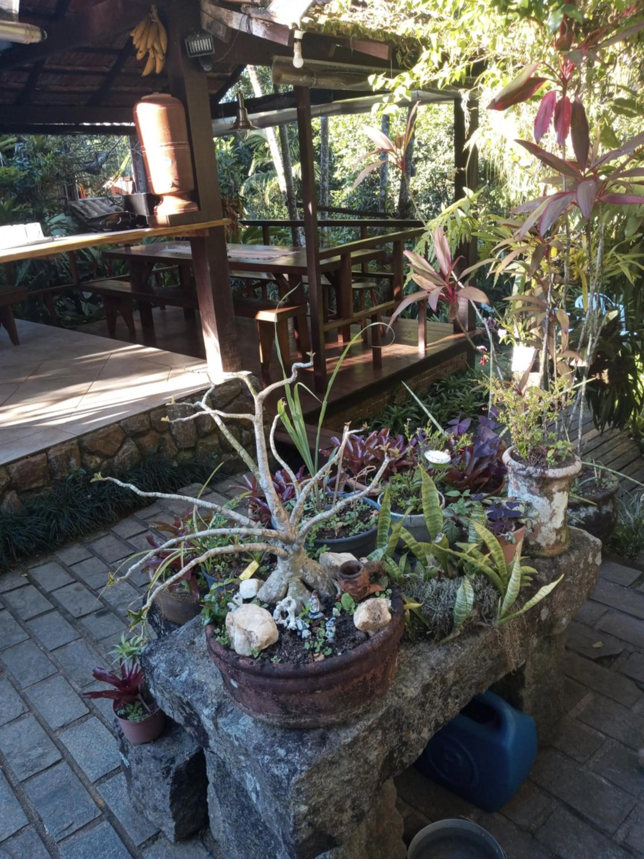 Garden in Pousada Cachoeira