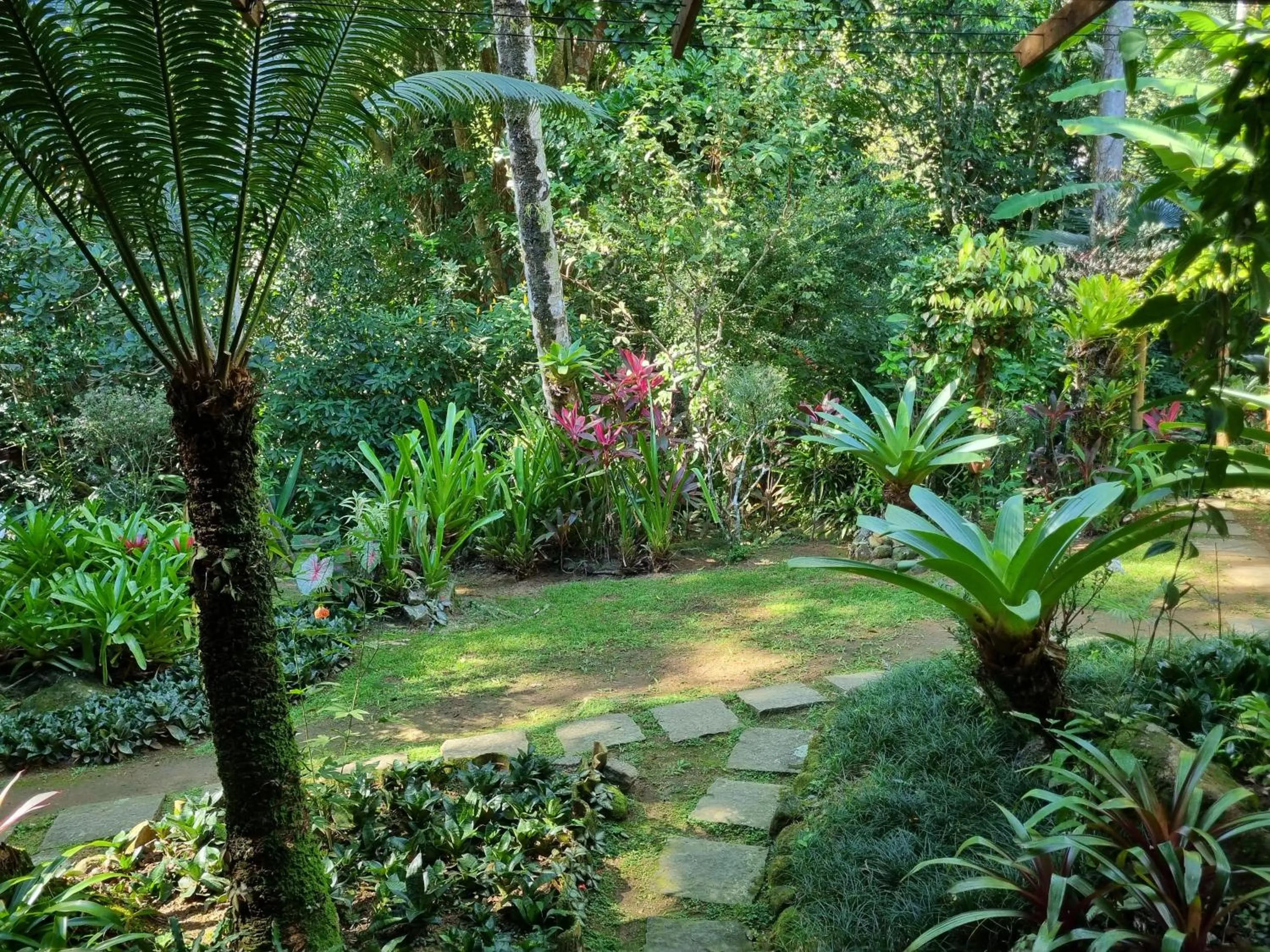 Garden view in Pousada Cachoeira