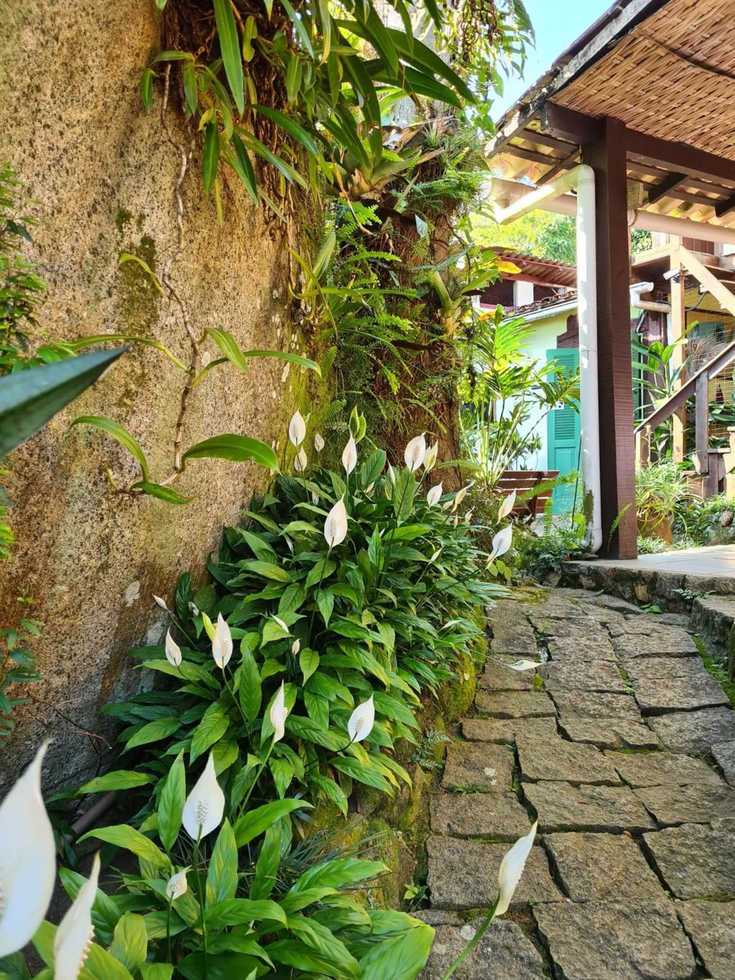 Garden in Pousada Cachoeira