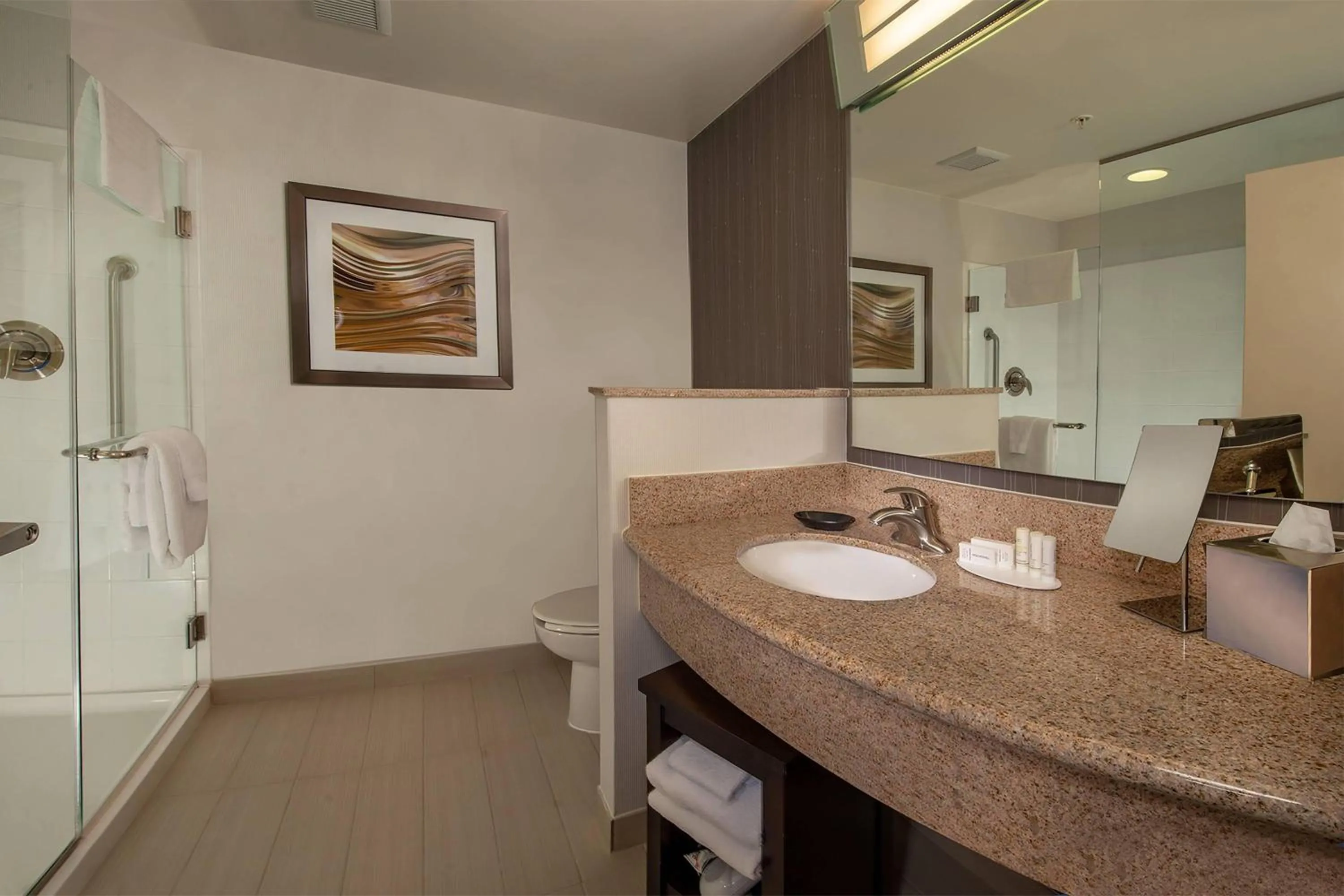 Bathroom in Courtyard by Marriott Hagerstown