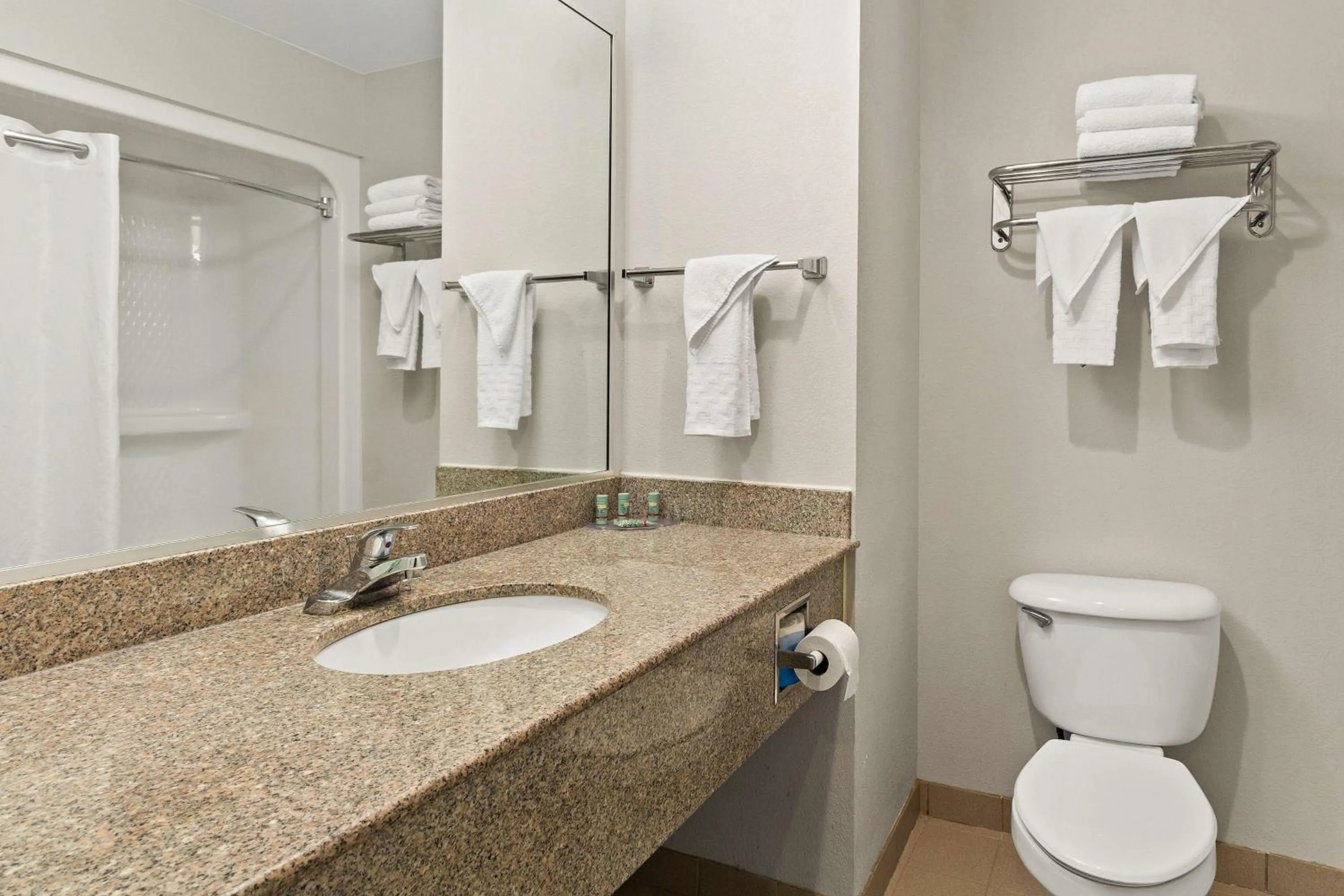 Bathroom in Best Western Galleria Inn & Suites