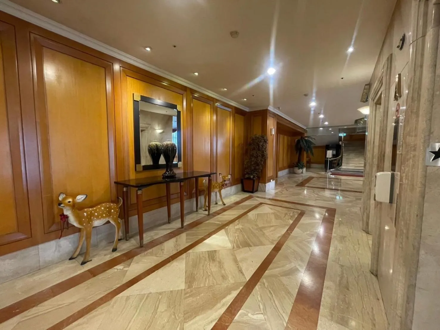 People in Chuto Plaza Hotel