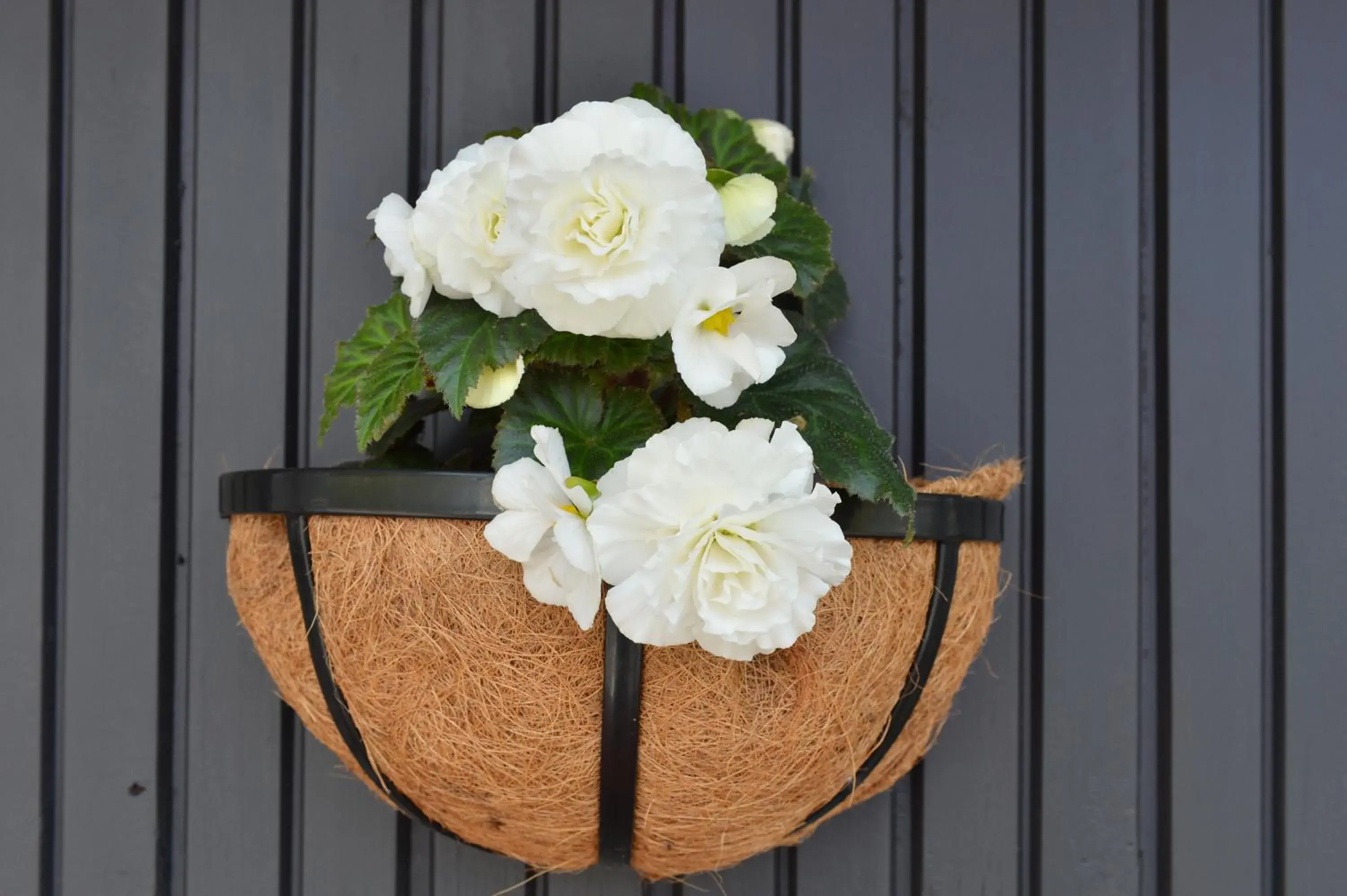 One Bedroom Unit in Edelweiss Motel One Bedroom Unit in Edelweiss Motel