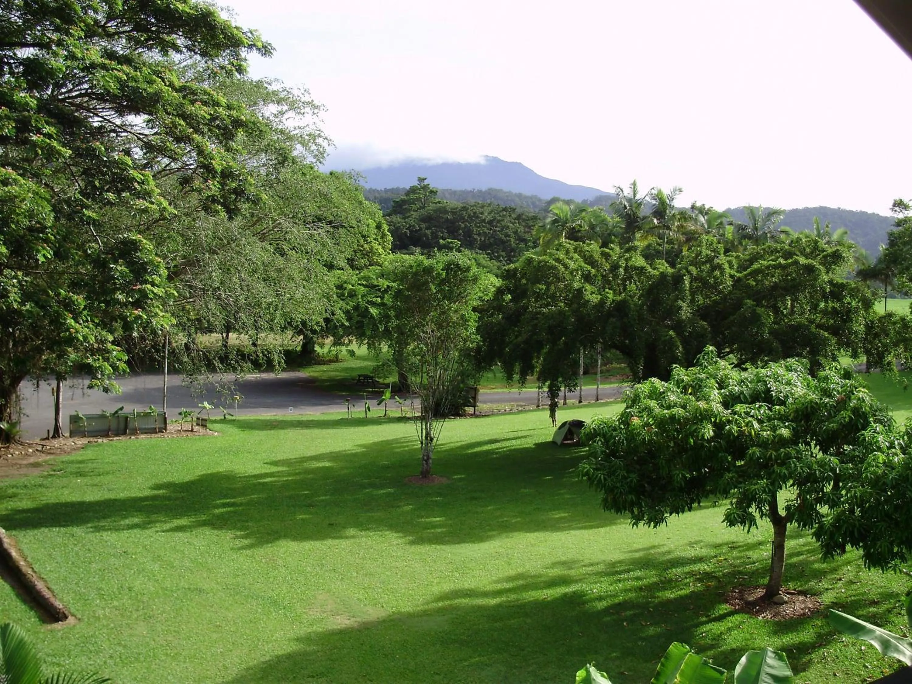 Garden view in Daintree Riverview Lodges