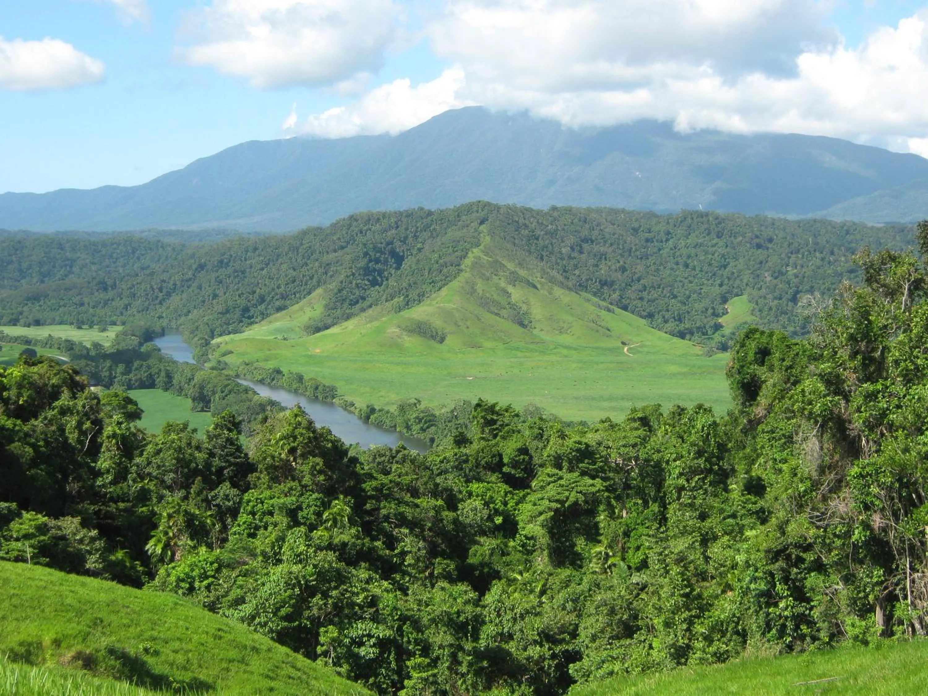 Nearby landmark in Daintree Riverview Lodges