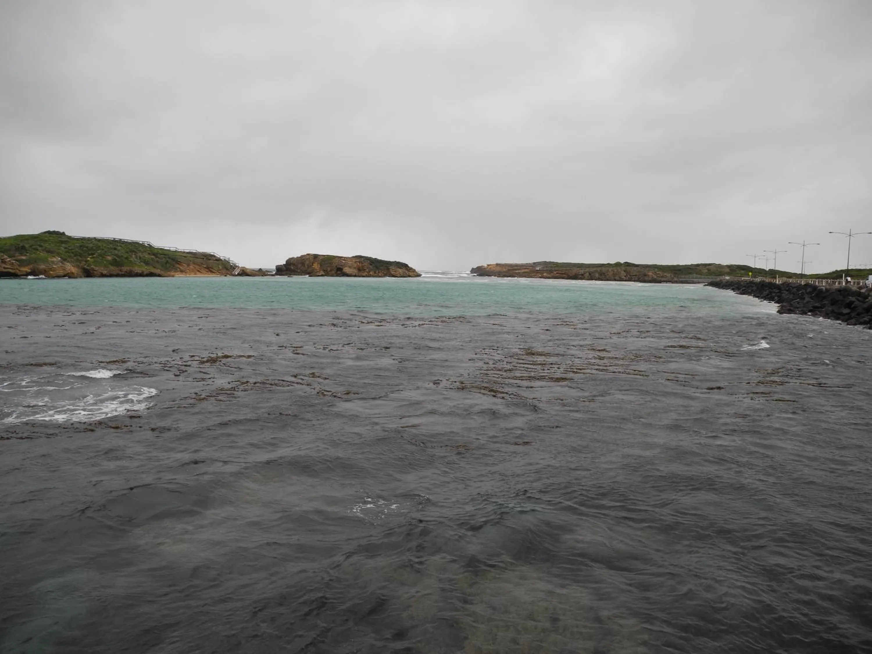 Natural landscape in Elm Tree Motel