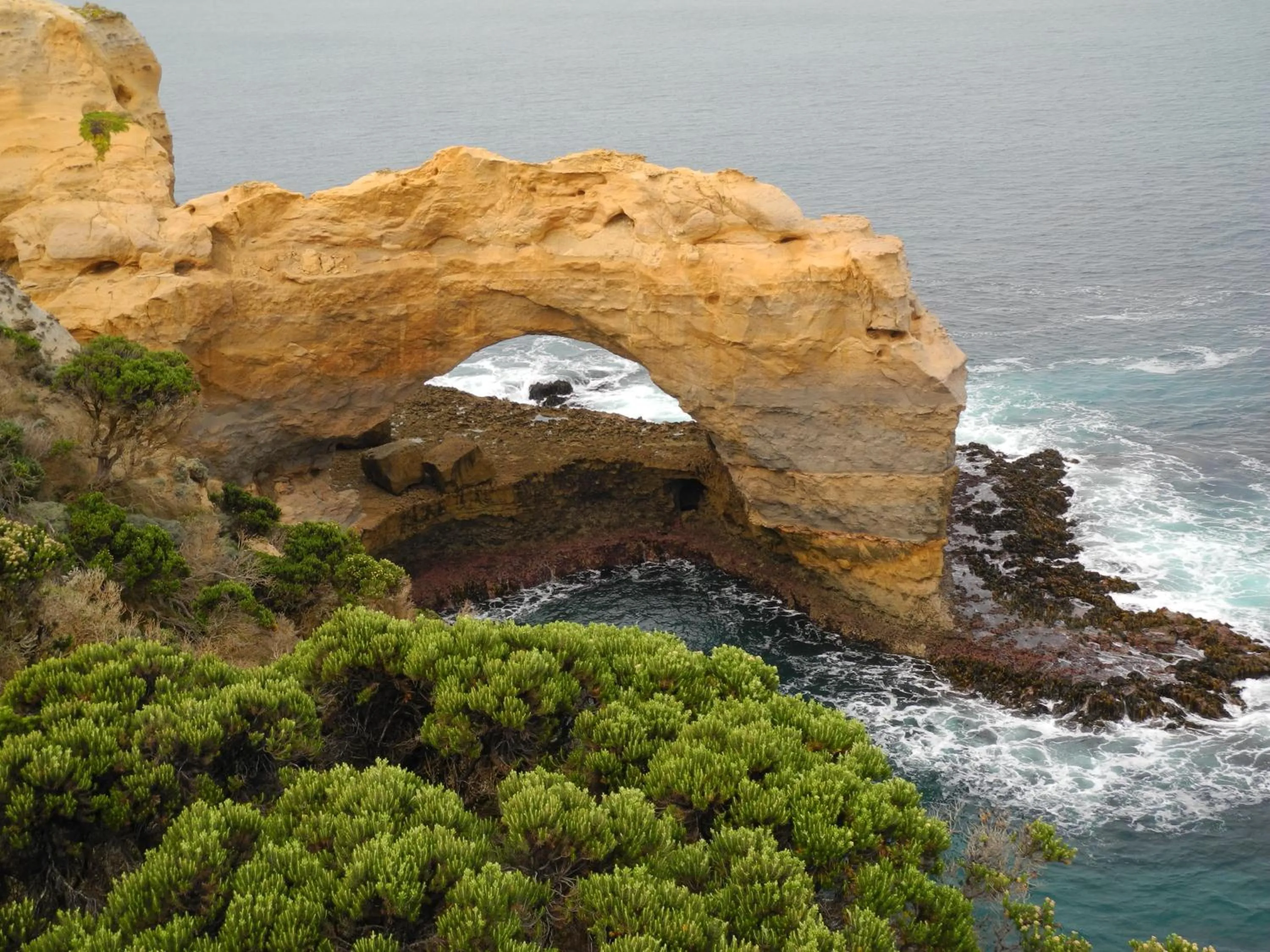 Nearby landmark in Elm Tree Motel