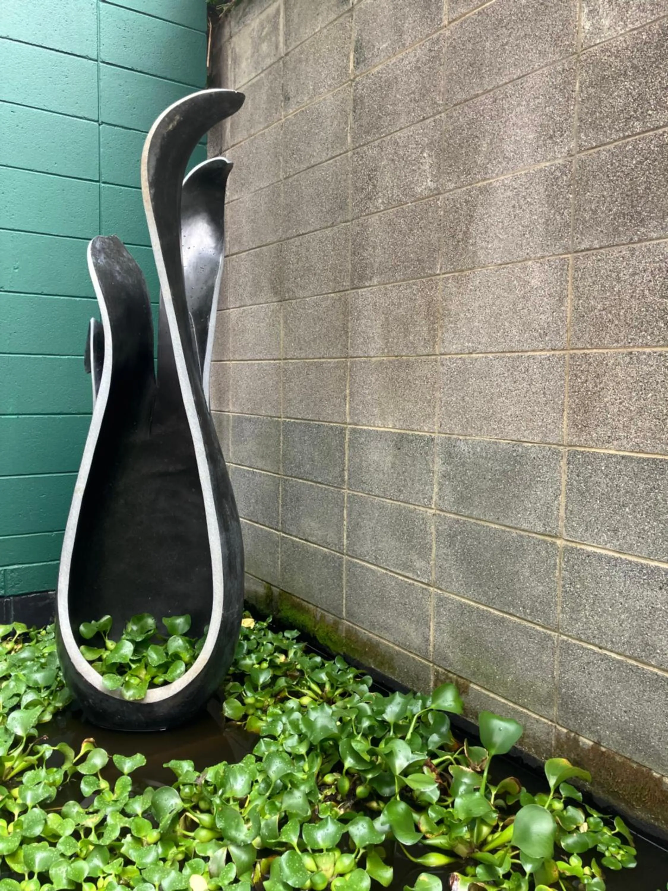 Property building in THE STORE