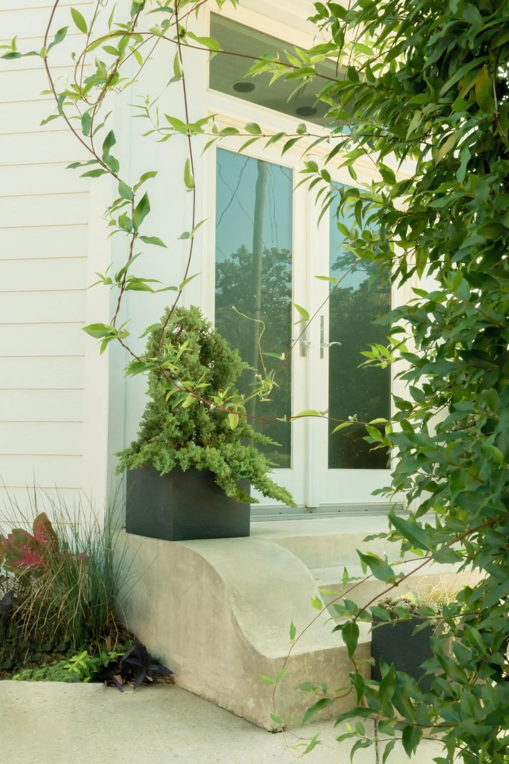 Property building in THE STORE