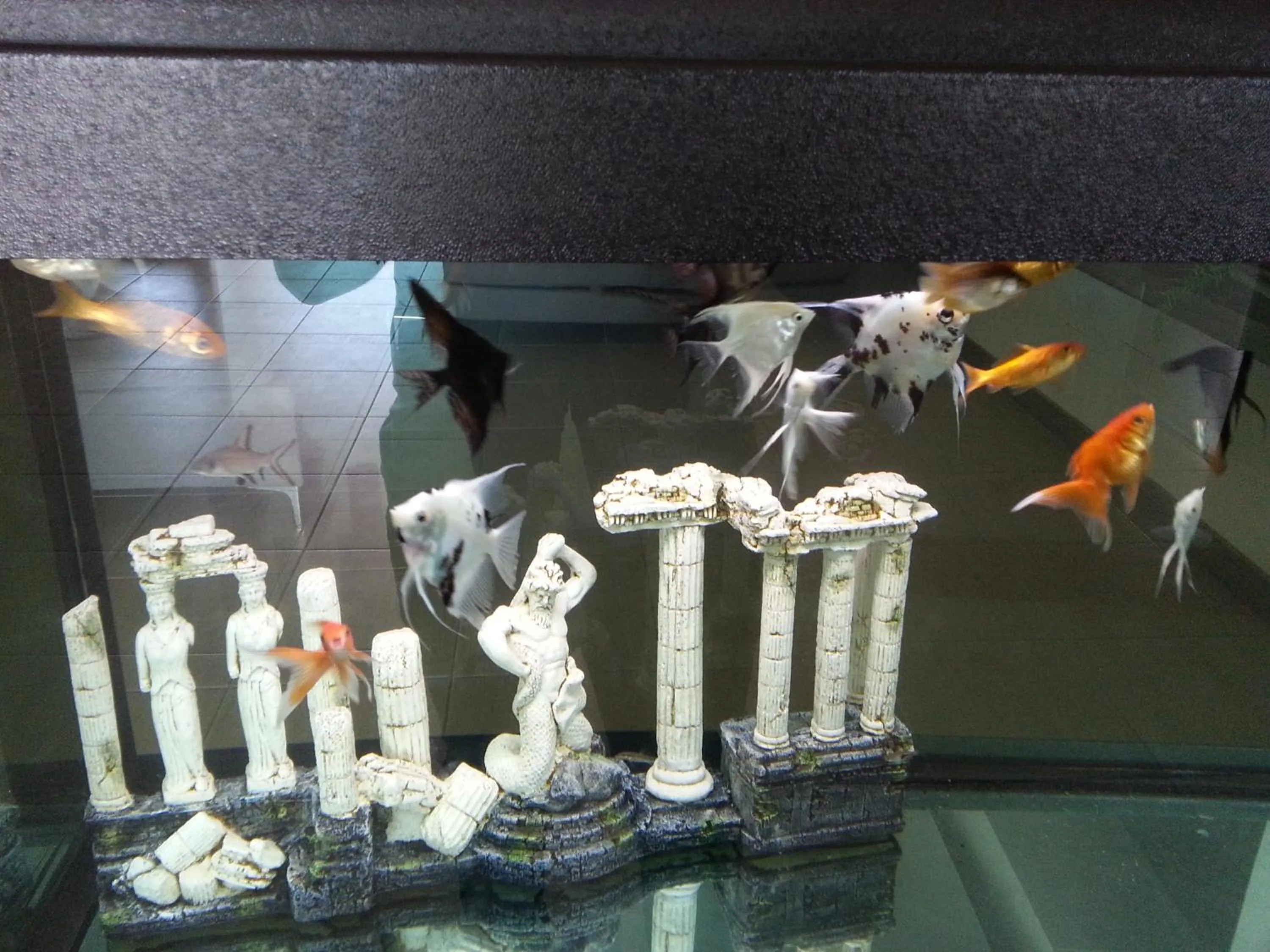 Decorative detail in Hotel Poseidon