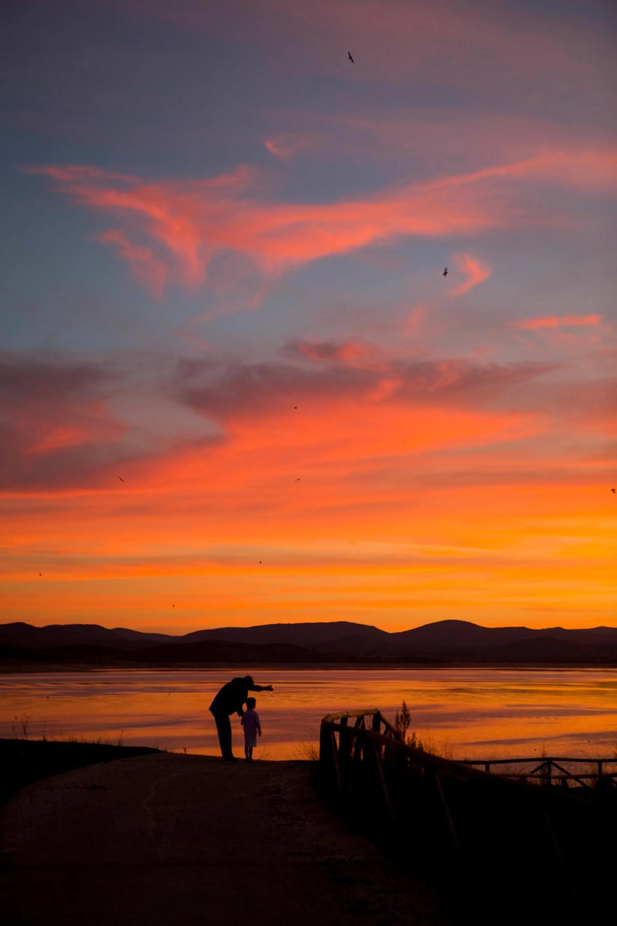 Area and facilities in Vincci Valdecañas Golf